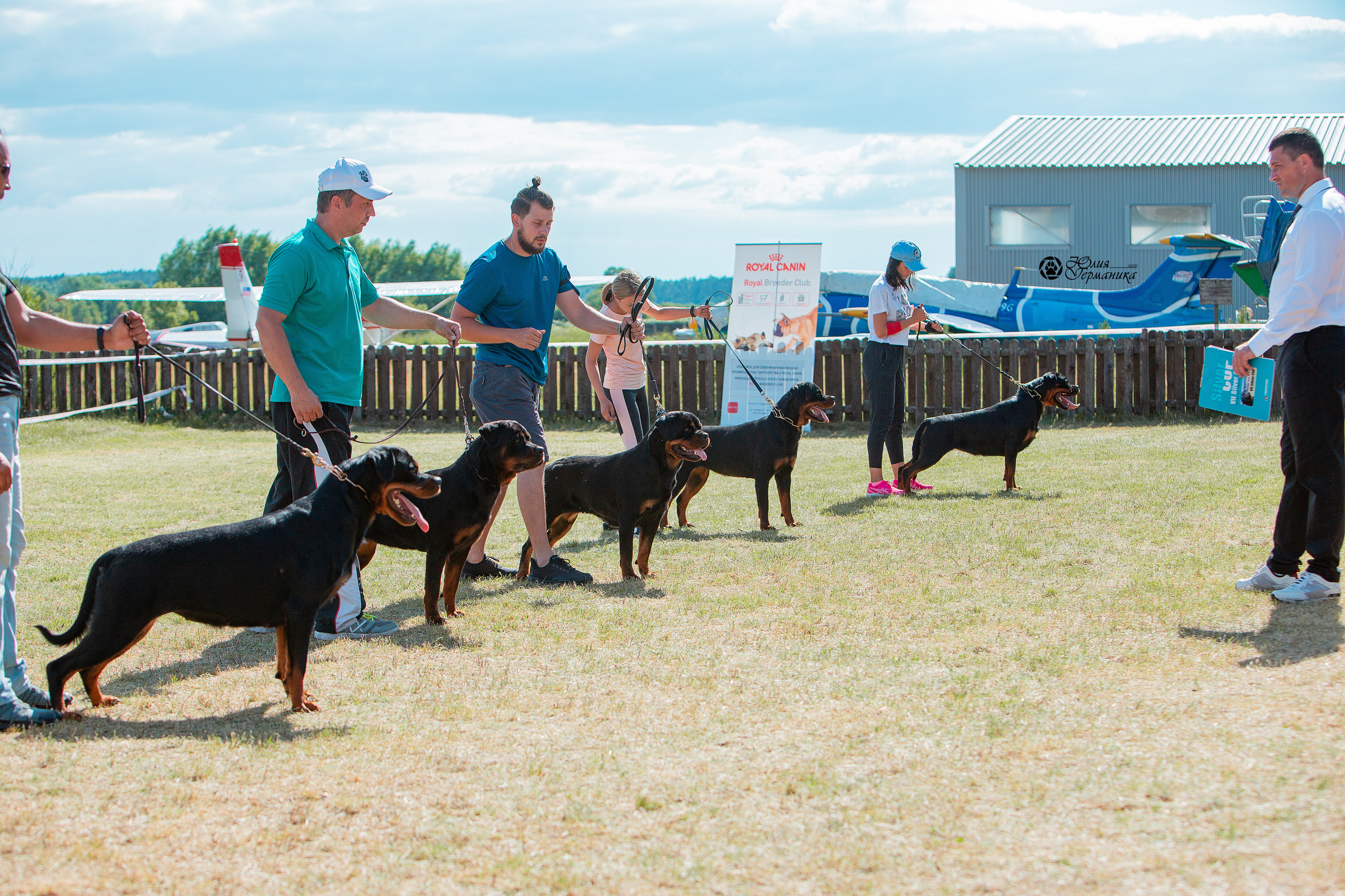 Тверь моно ротвейлеров 3-4 июля 2021. Фотограф-анималист Юлия Германика