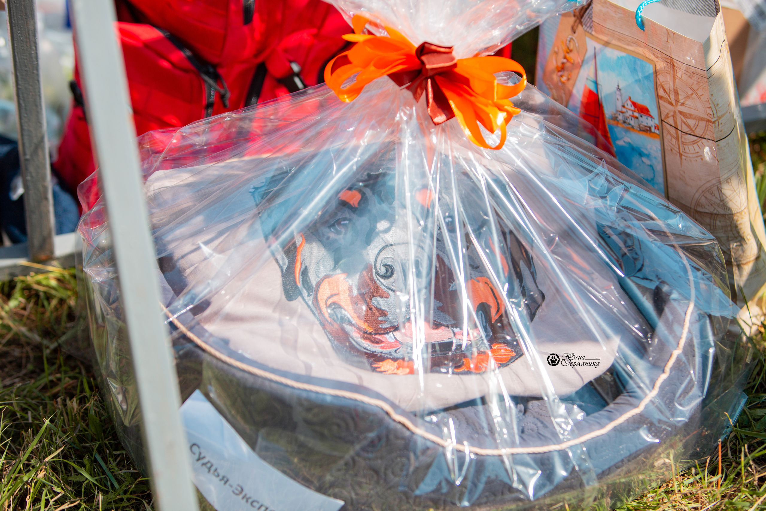 Рязань,Ховрино 14-15 августа 2021 моно ротвейлеров. Фотограф-анималист Юлия Германика