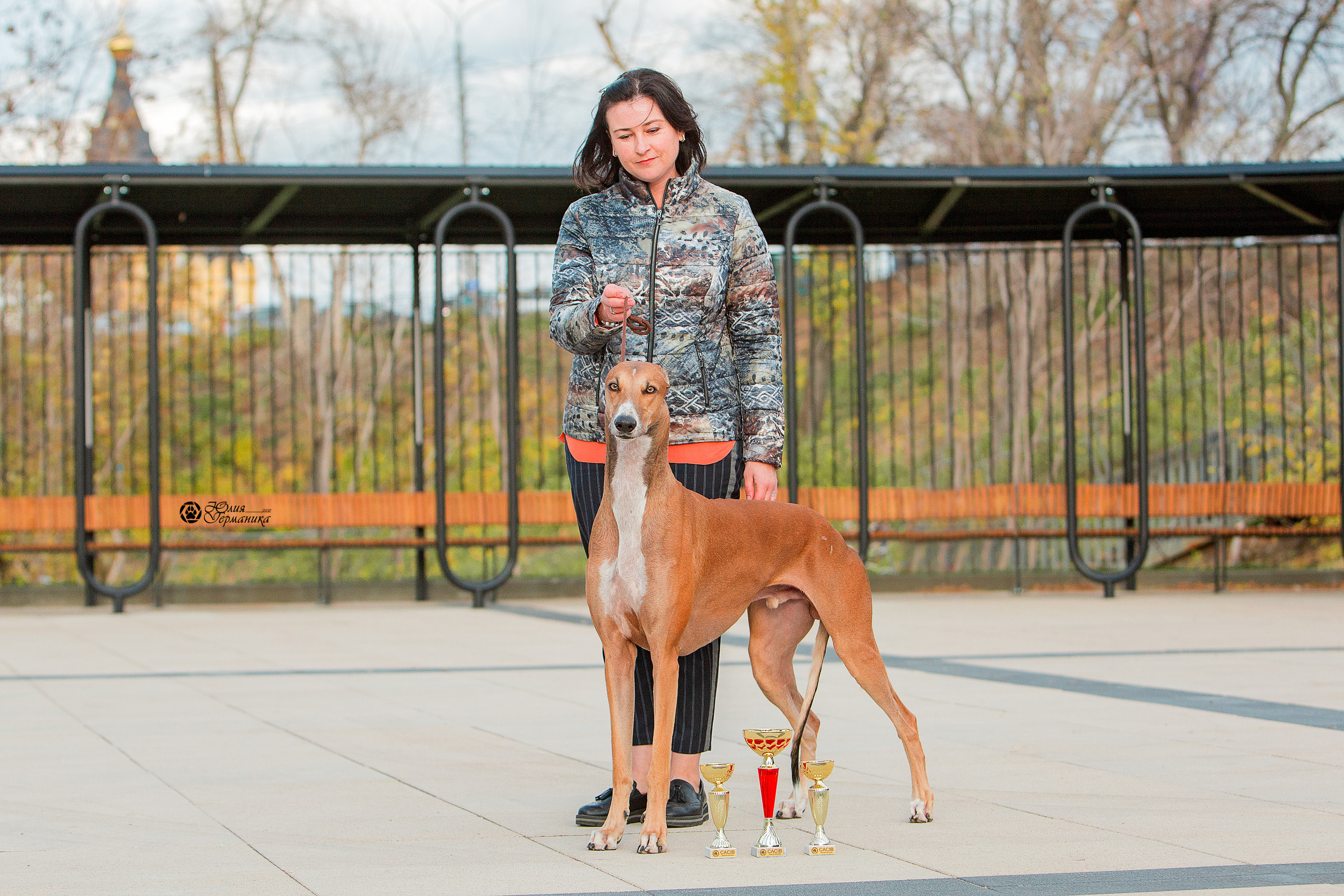 Нижний Новгород 3хCACIB 15-17 октября 2021. Фотограф-анималист Юлия Германика