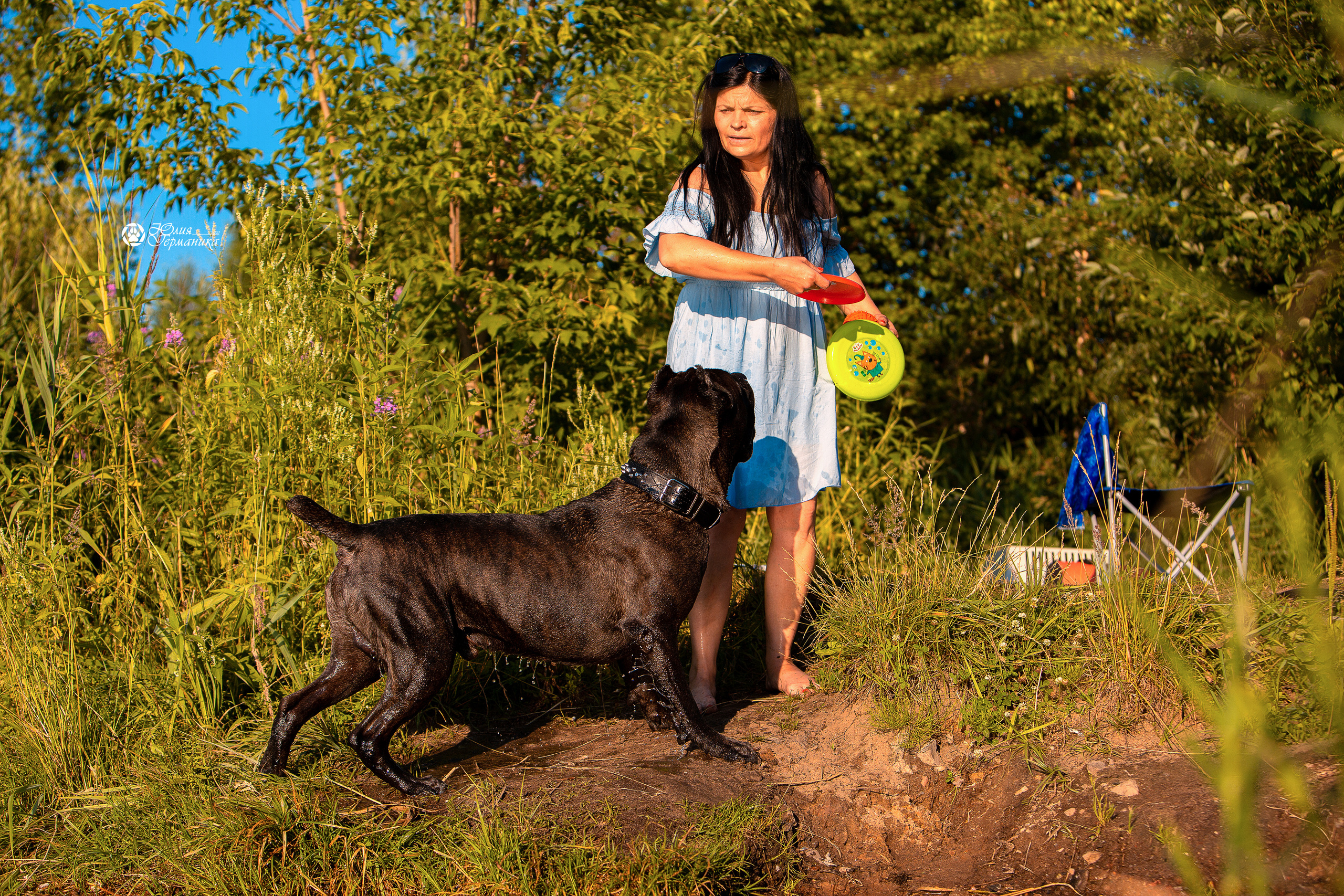 Свободная съемка. Фотограф-анималист Юлия Германика