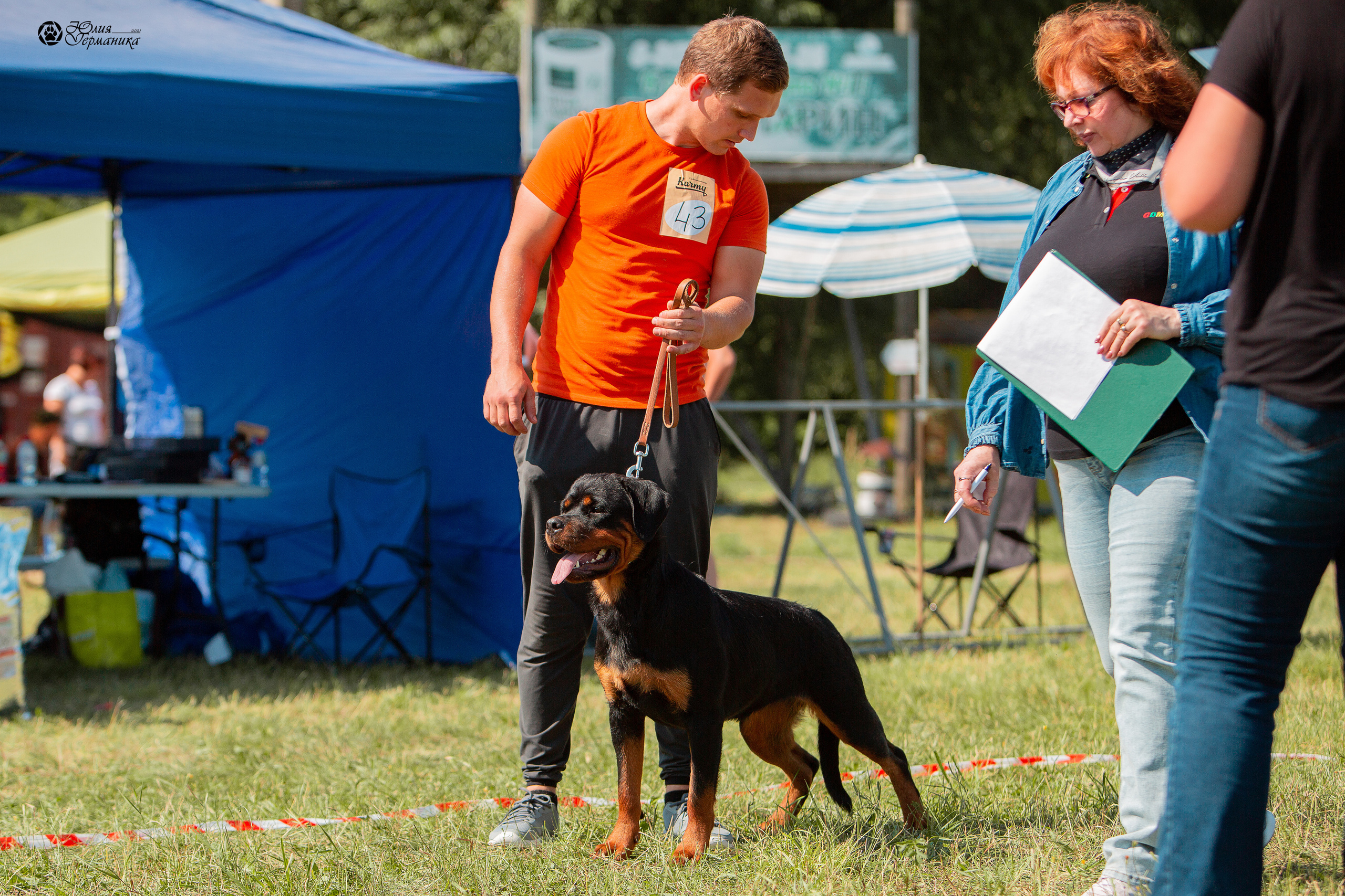 Рязань,Ховрино 14-15 августа 2021 моно ротвейлеров. Фотограф-анималист Юлия Германика