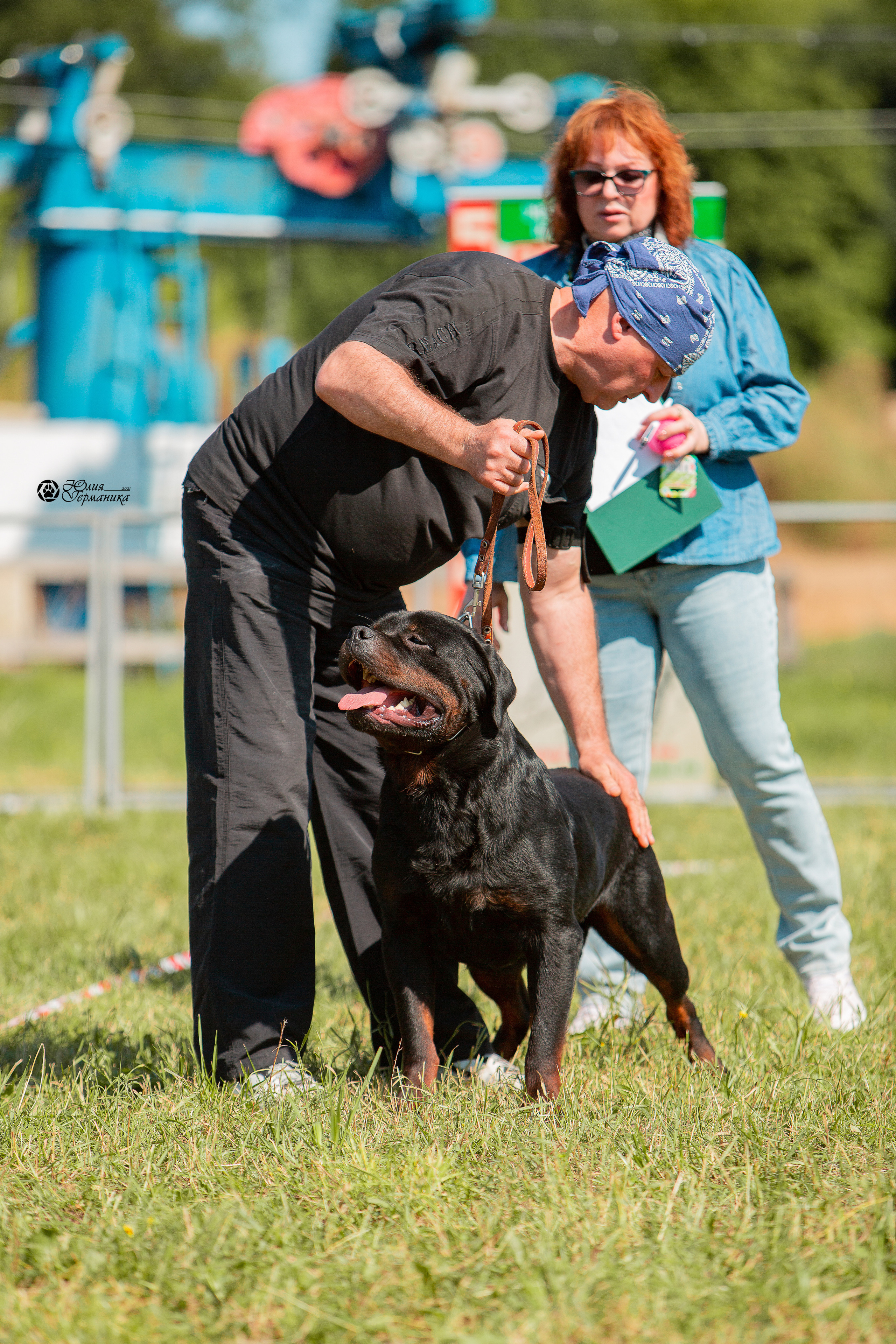 Рязань,Ховрино 14-15 августа 2021 моно ротвейлеров. Фотограф-анималист Юлия Германика