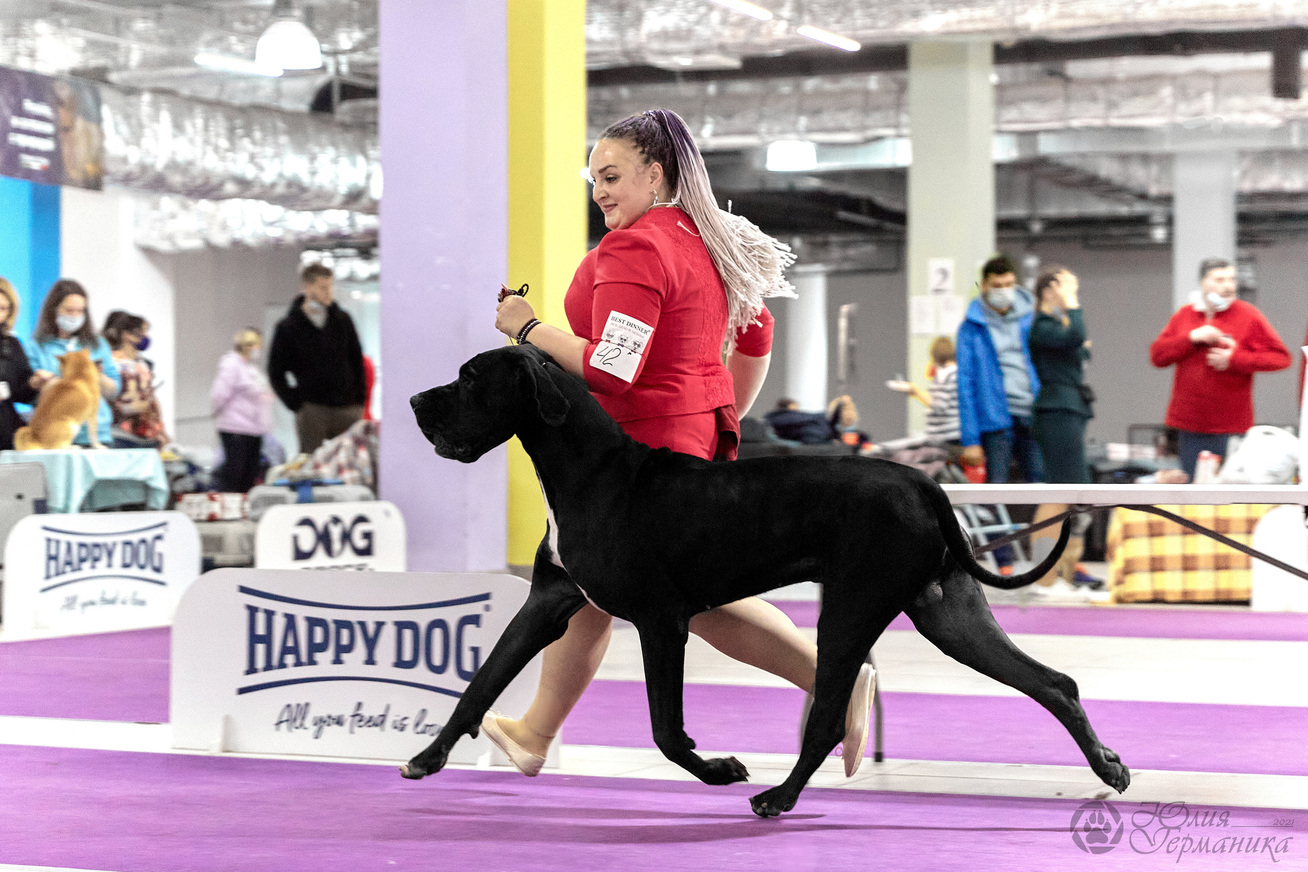 Чайник  13-14 ноября 2021. Фотограф-анималист Юлия Германика