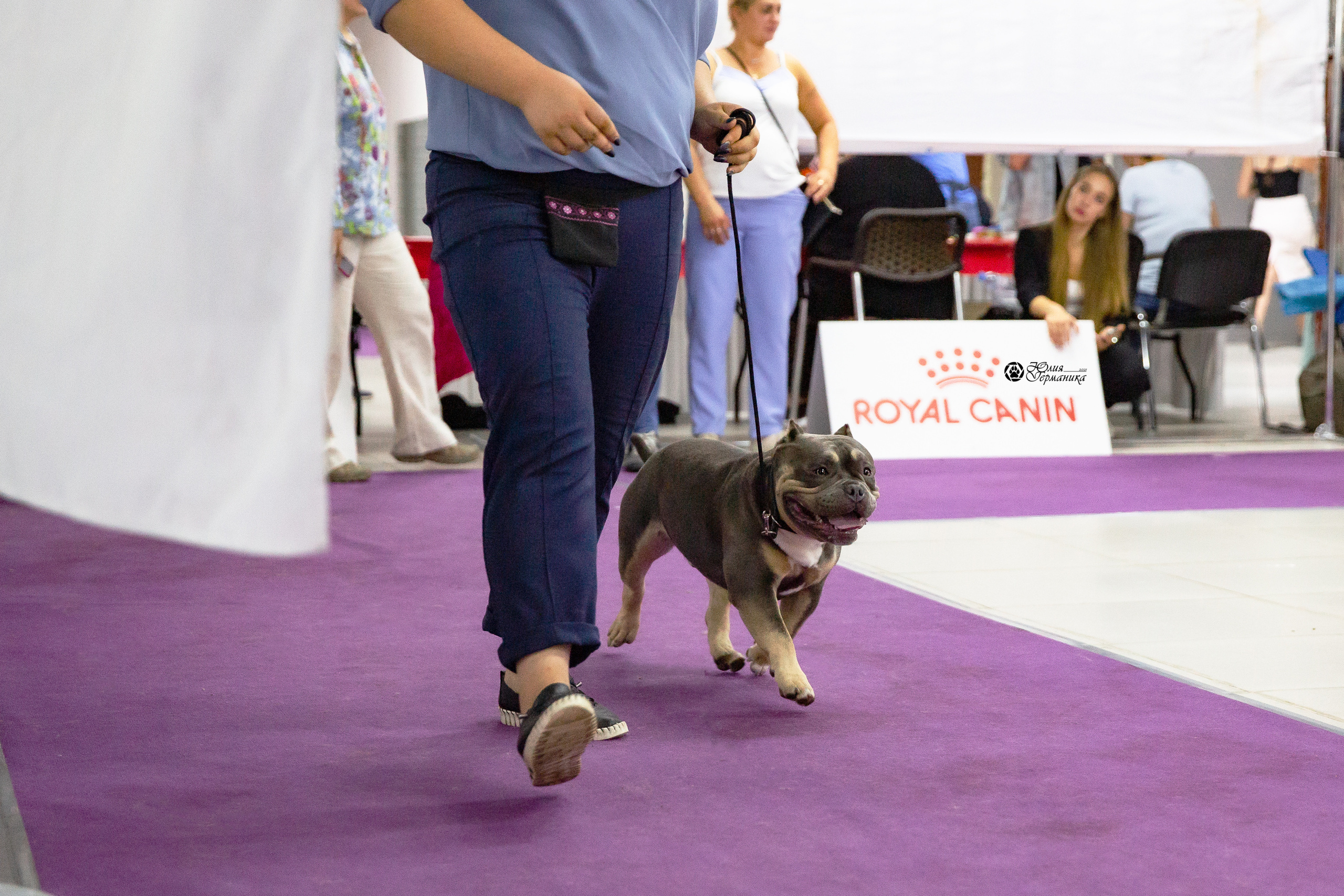 Чайна-Таун 2021. Фотограф-анималист Юлия Германика