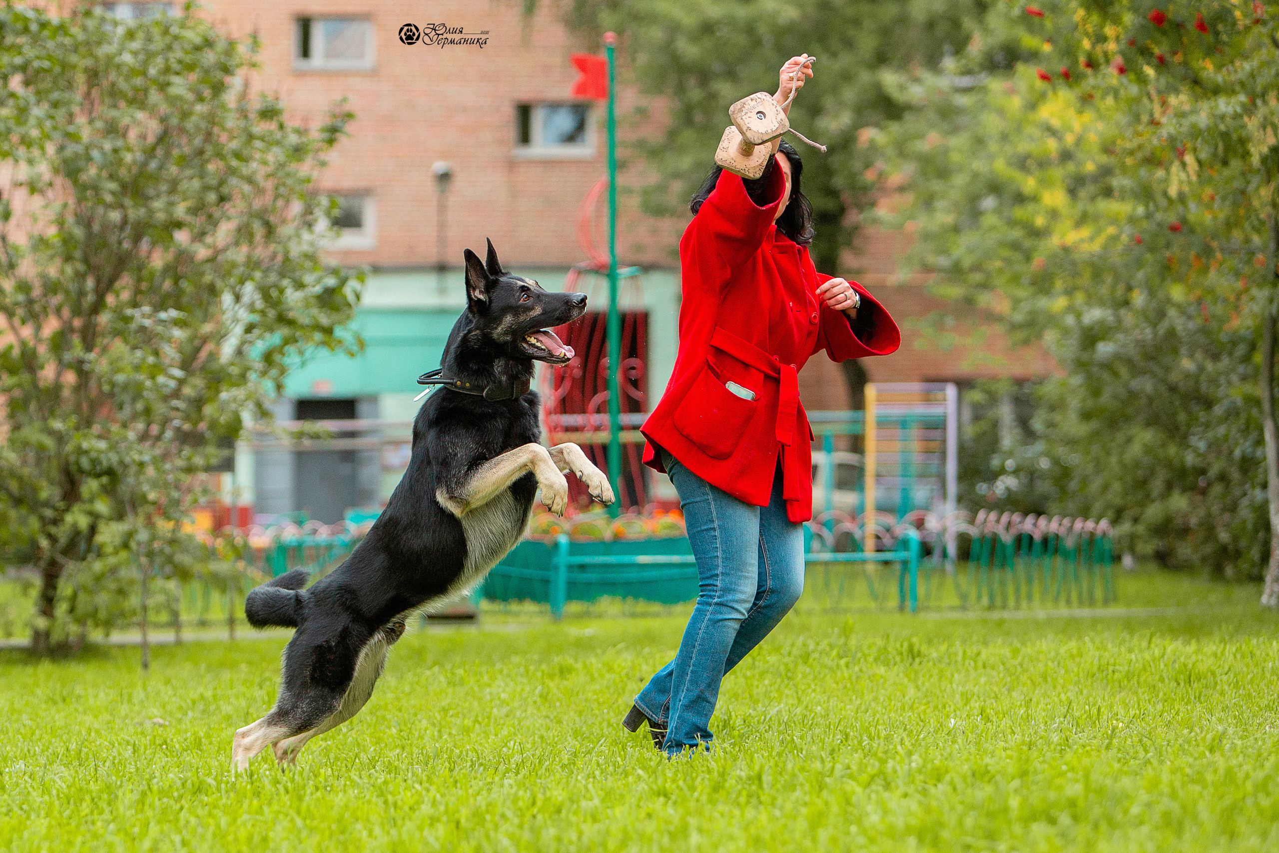 Свободная съемка. Фотограф-анималист Юлия Германика