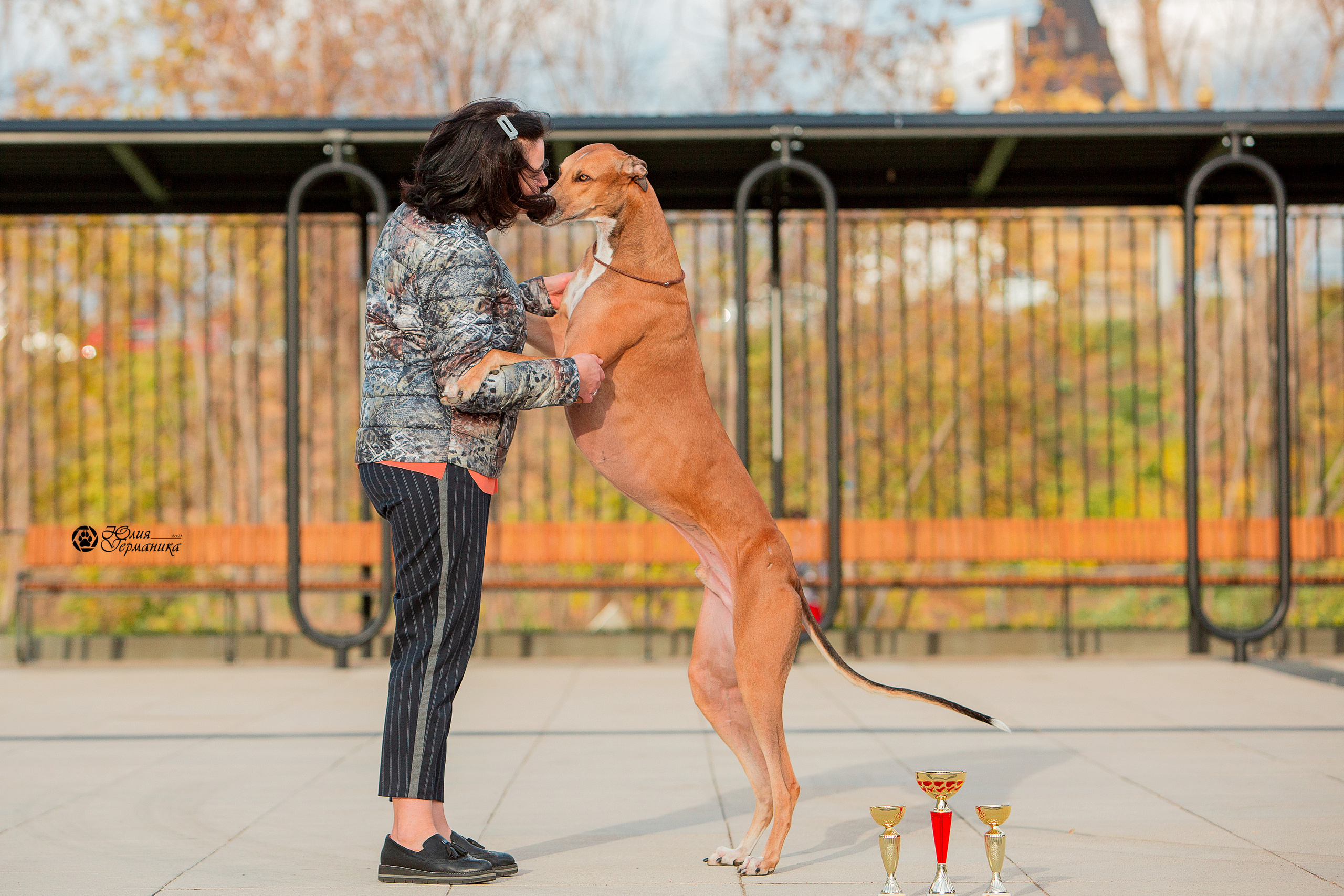 Нижний Новгород 3хCACIB 15-17 октября 2021. Фотограф-анималист Юлия Германика