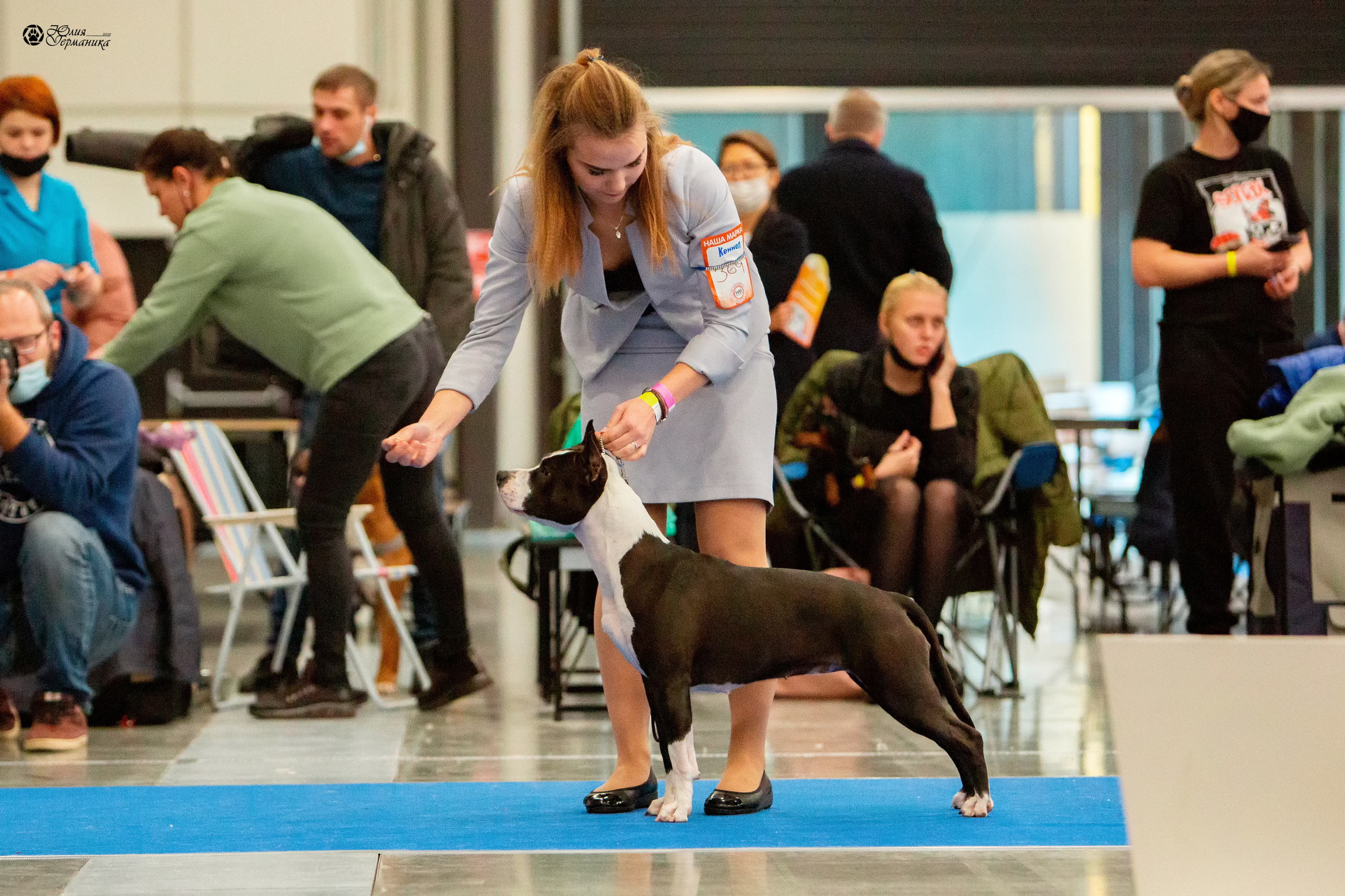 Питер 4 CACIB 22-25 октября 2021. Фотограф-анималист Юлия Германика