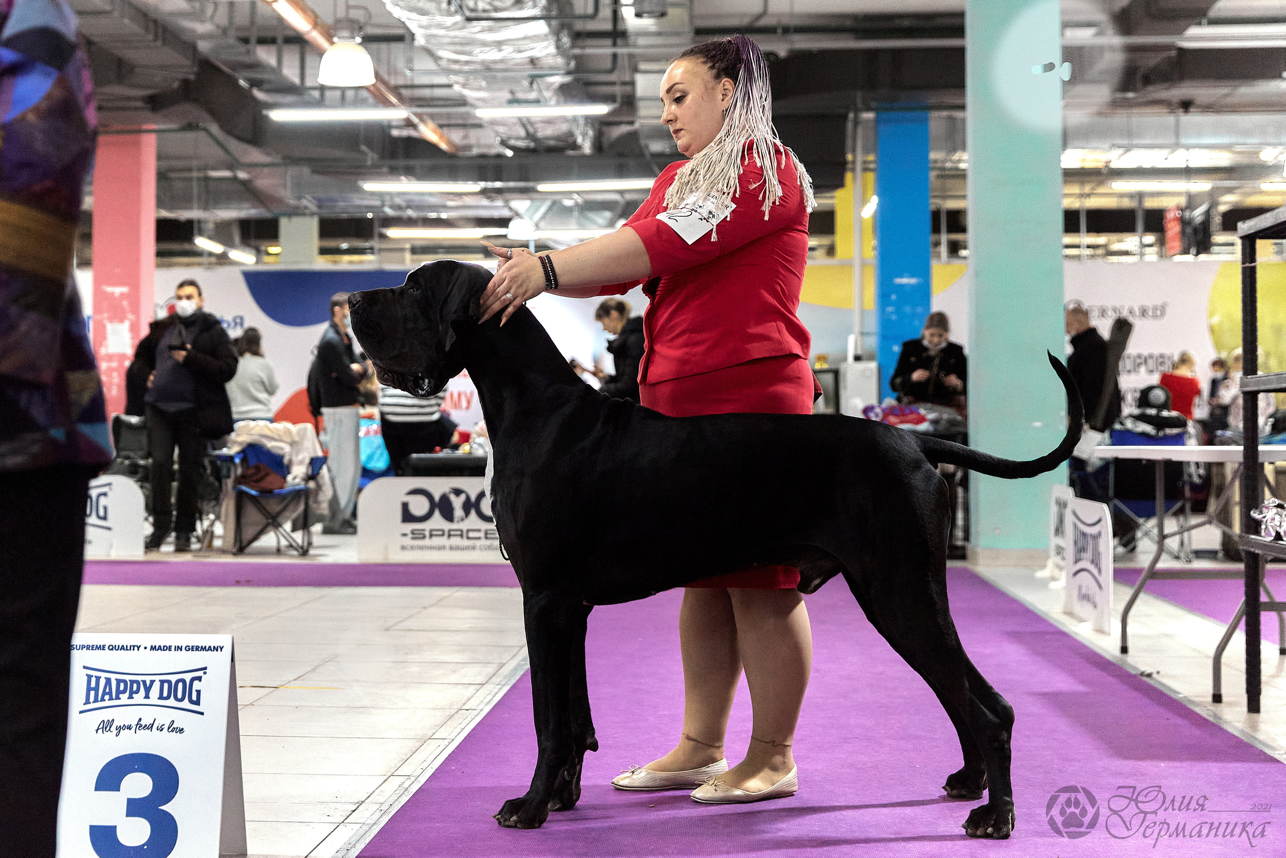 Чайник  13-14 ноября 2021. Фотограф-анималист Юлия Германика