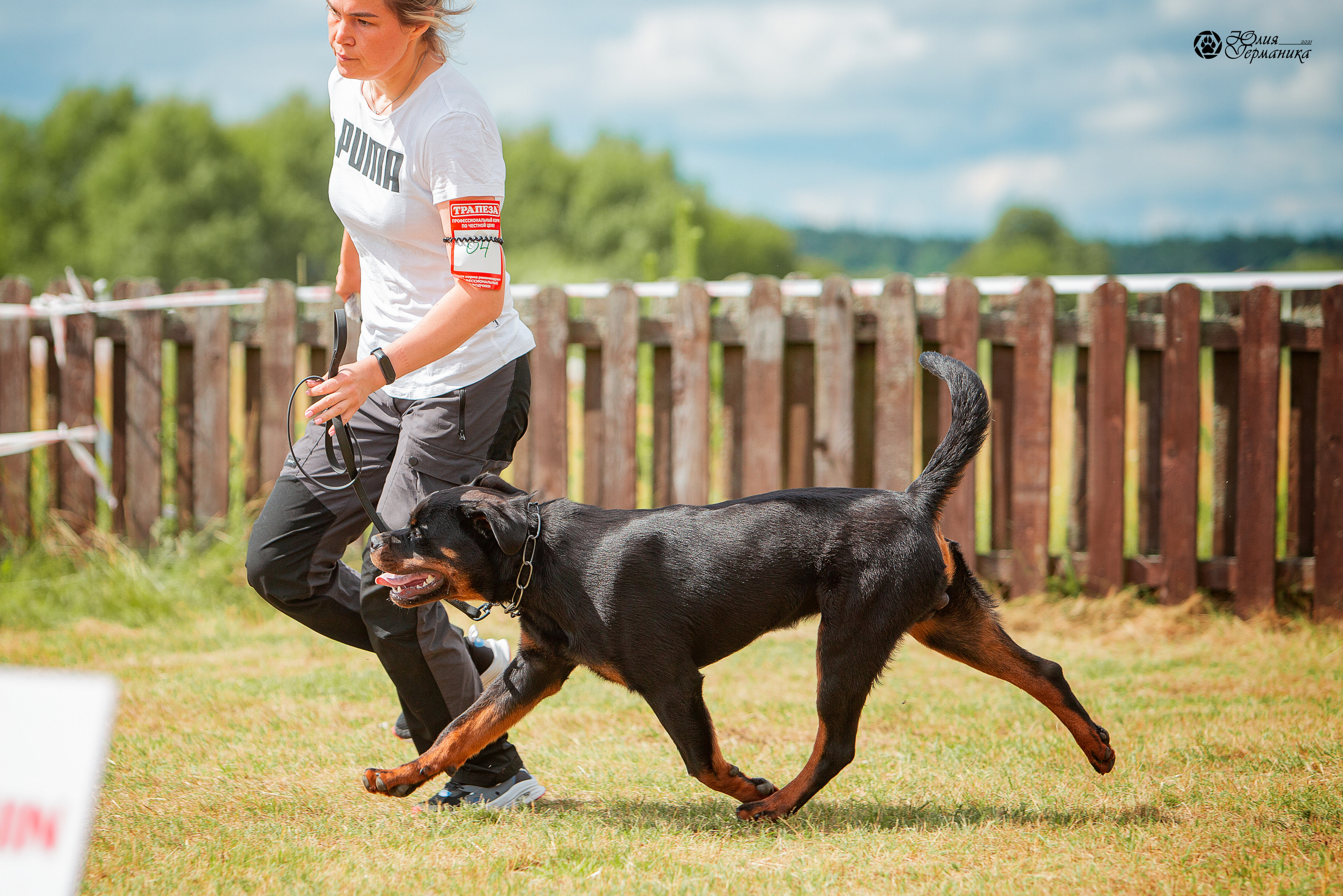 Тверь моно ротвейлеров 3-4 июля 2021. Фотограф-анималист Юлия Германика
