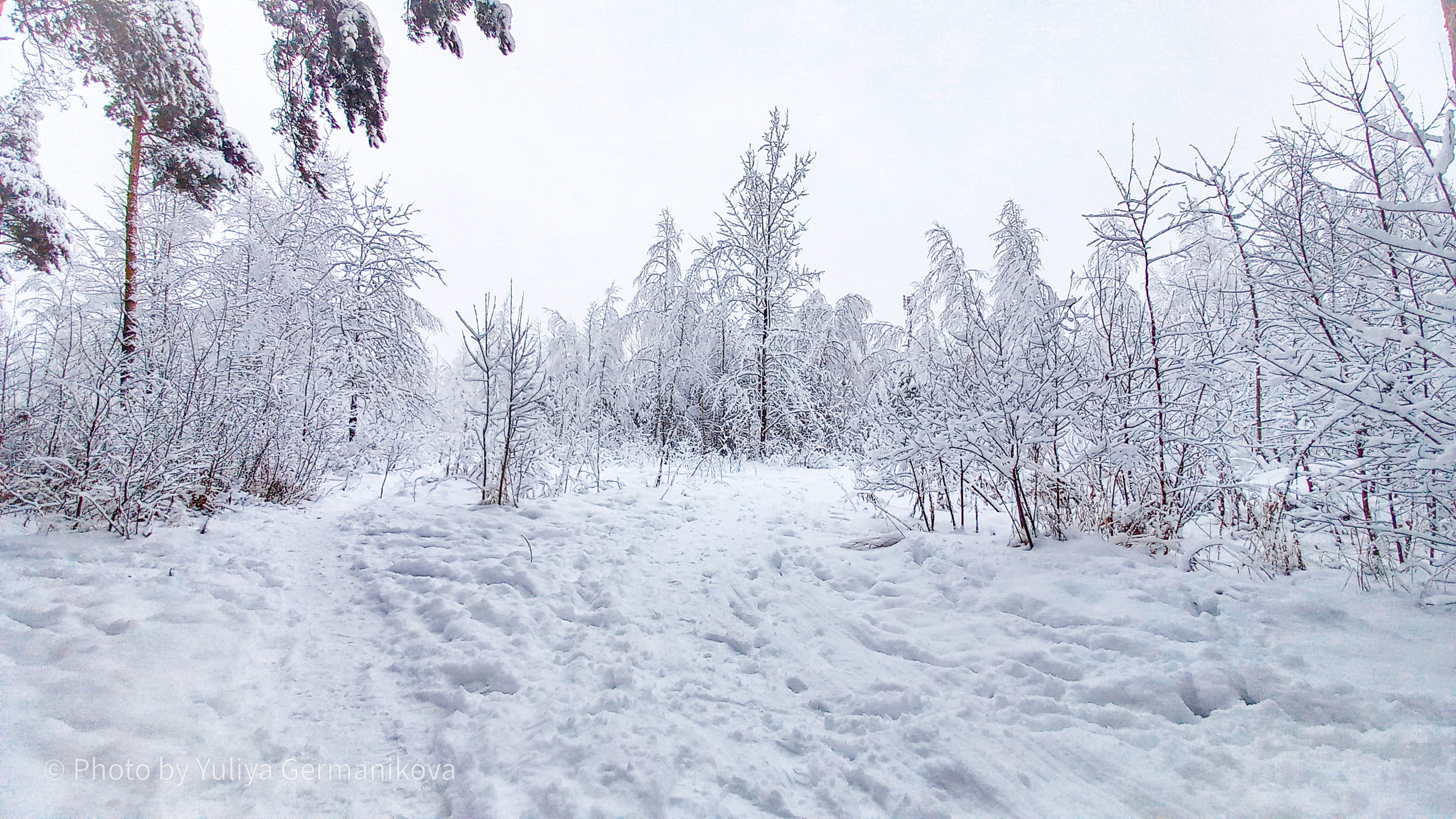 Разные фото на телефон.Города,природа. Фотограф-анималист Юлия Германика