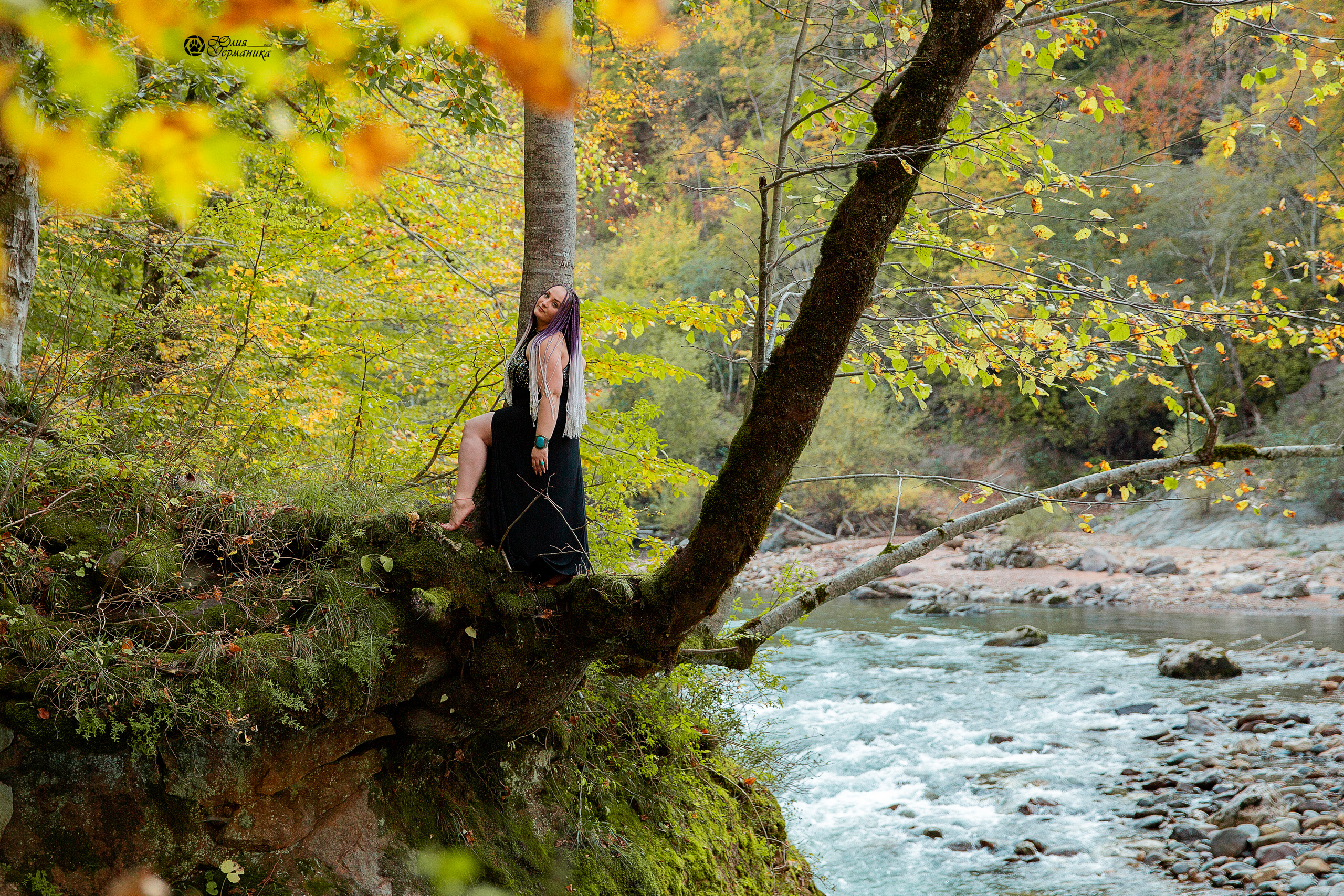 Свободная съемка. Фотограф-анималист Юлия Германика