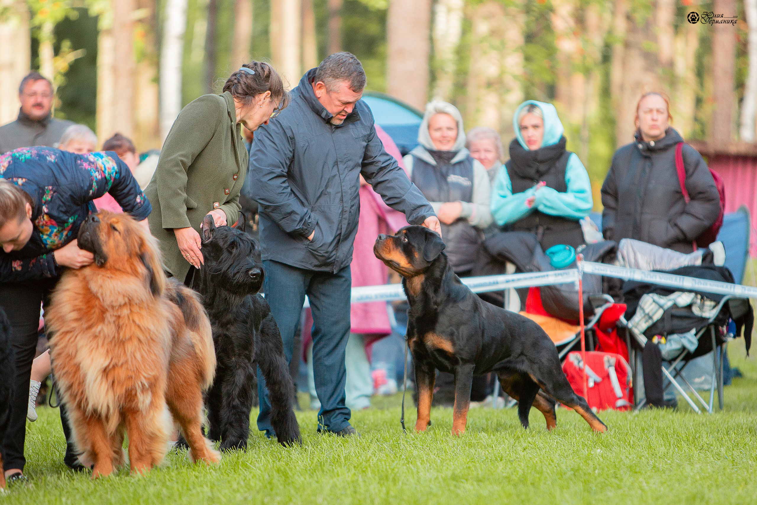 Псков 2xСАСIB 18-19 сентября 2021. Фотограф-анималист Юлия Германика