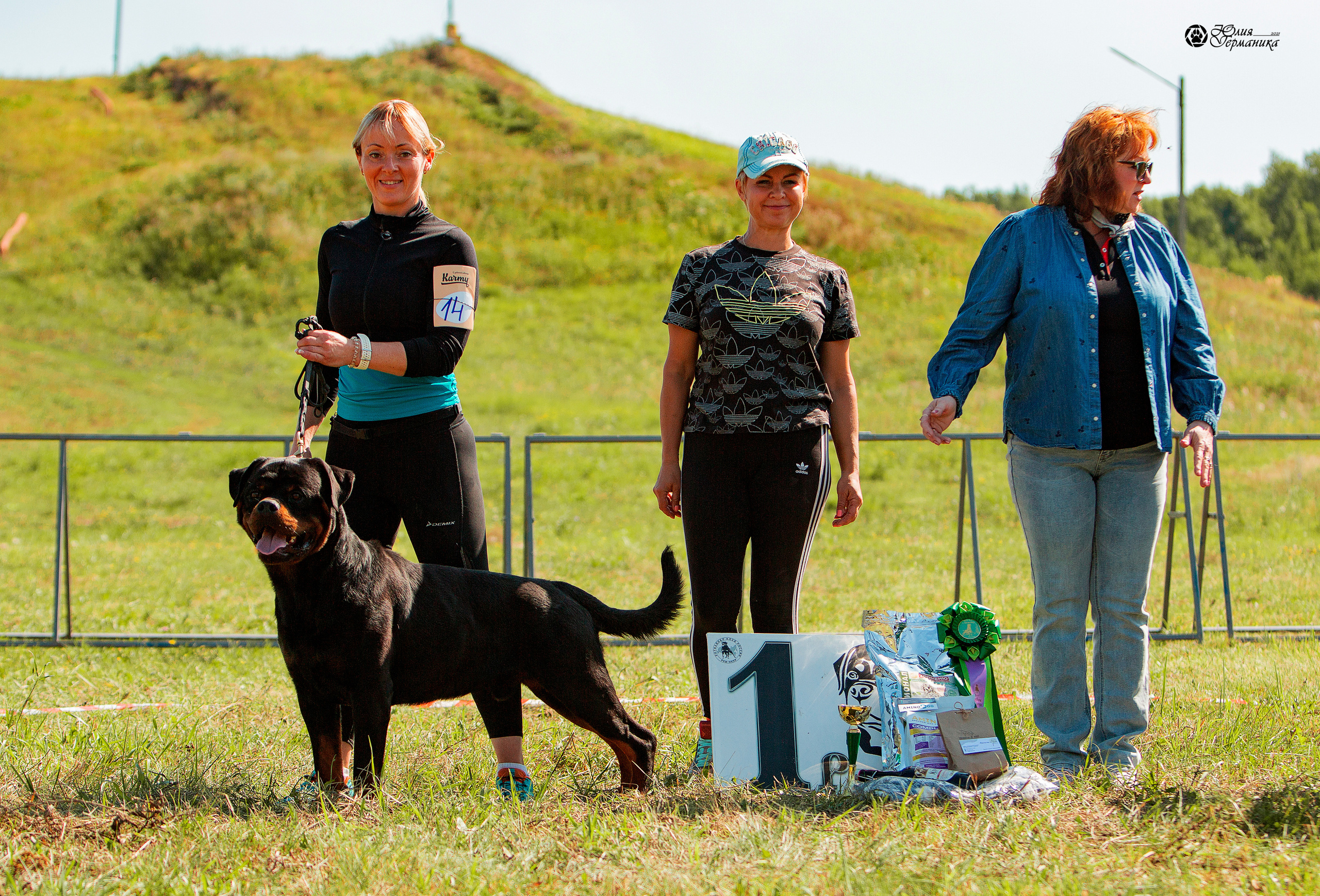 Рязань,Ховрино 14-15 августа 2021 моно ротвейлеров. Фотограф-анималист Юлия Германика