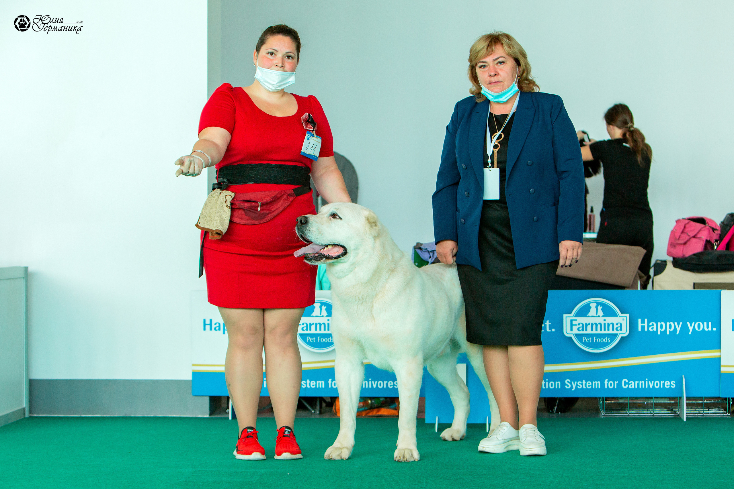 Нижний Новгород 3хCACIB 15-17 октября 2021. Фотограф-анималист Юлия Германика