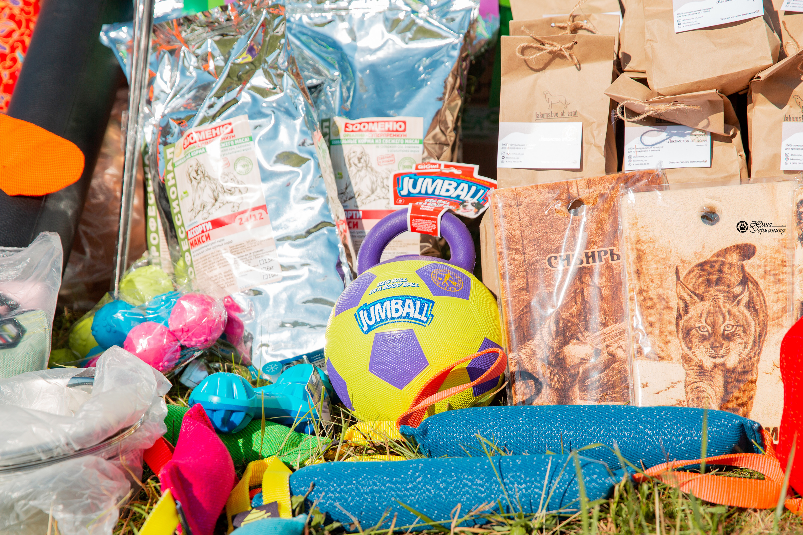 Рязань,Ховрино 14-15 августа 2021 моно ротвейлеров. Фотограф-анималист Юлия Германика