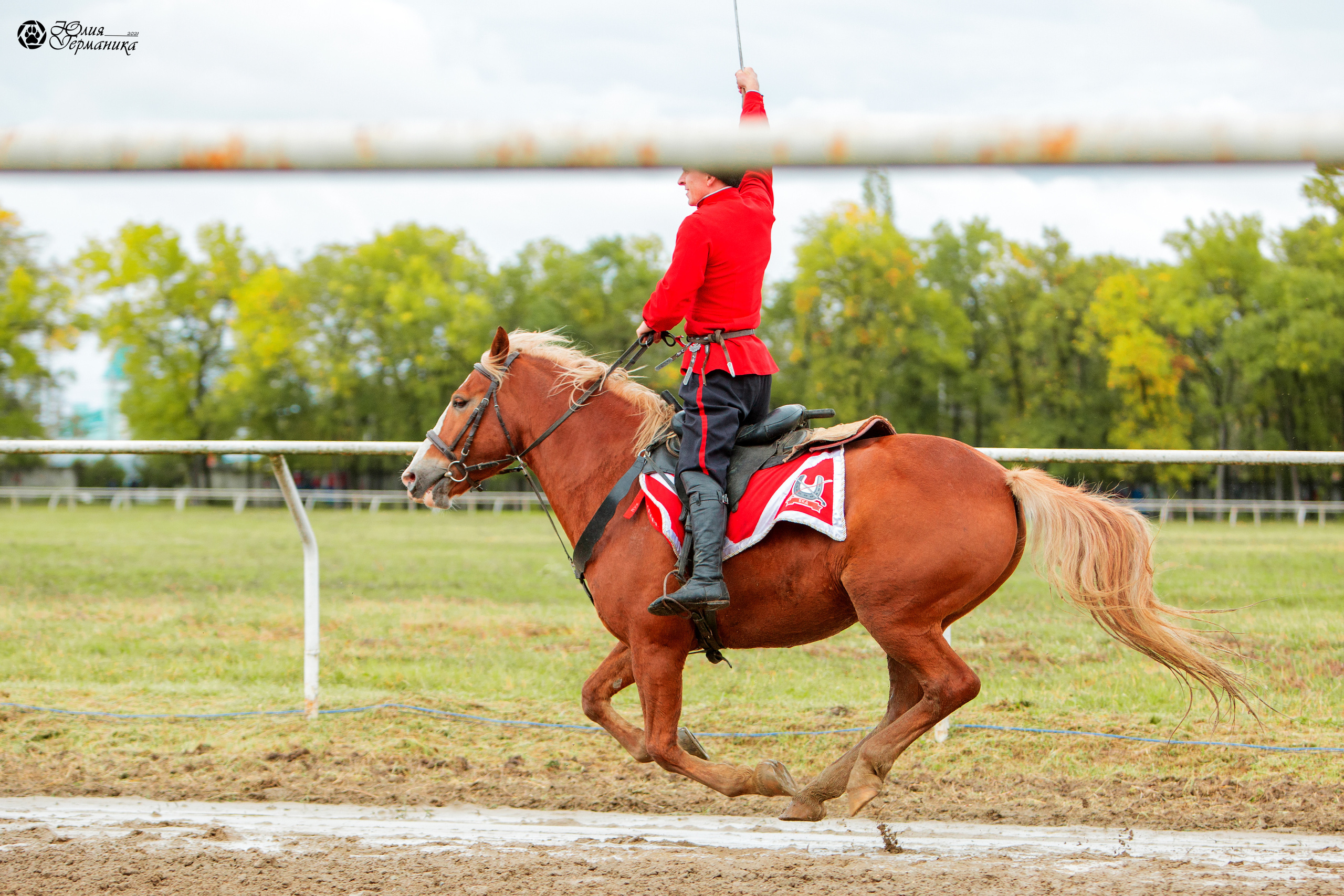 Съёмки с лошадьми. Фотограф-анималист Юлия Германика