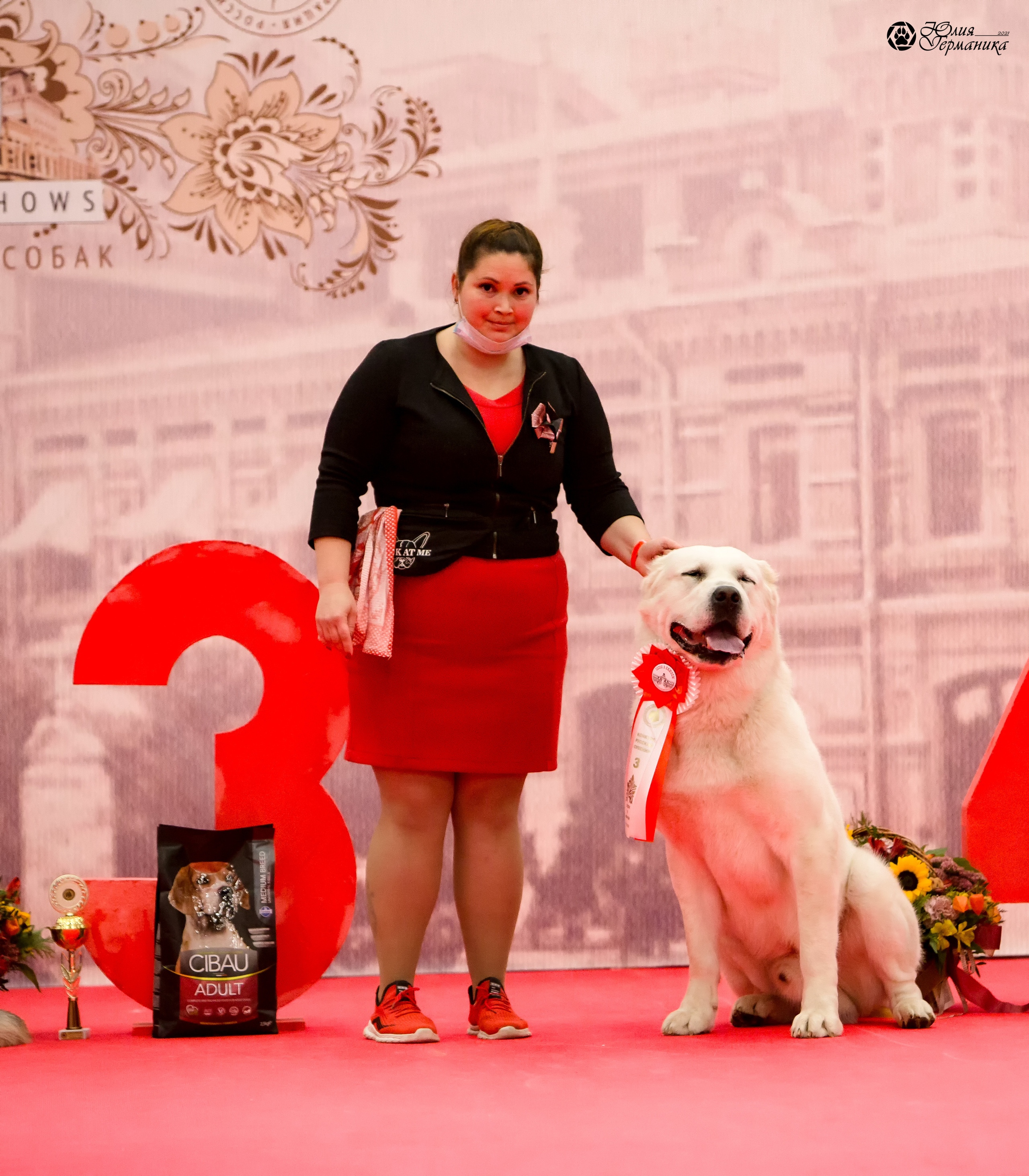 Нижний Новгород 3хCACIB 15-17 октября 2021. Фотограф-анималист Юлия Германика