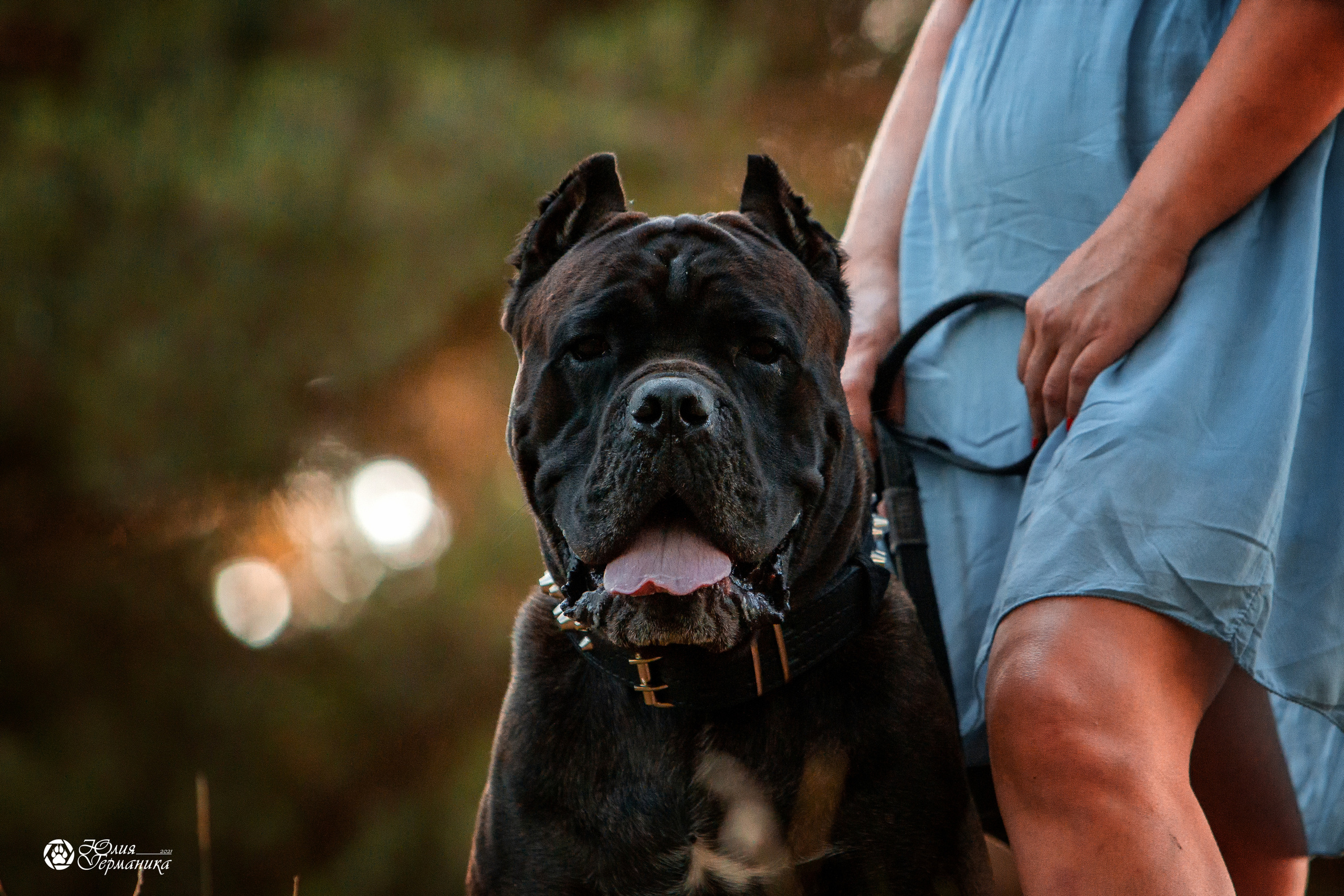 Свободная съемка. Фотограф-анималист Юлия Германика