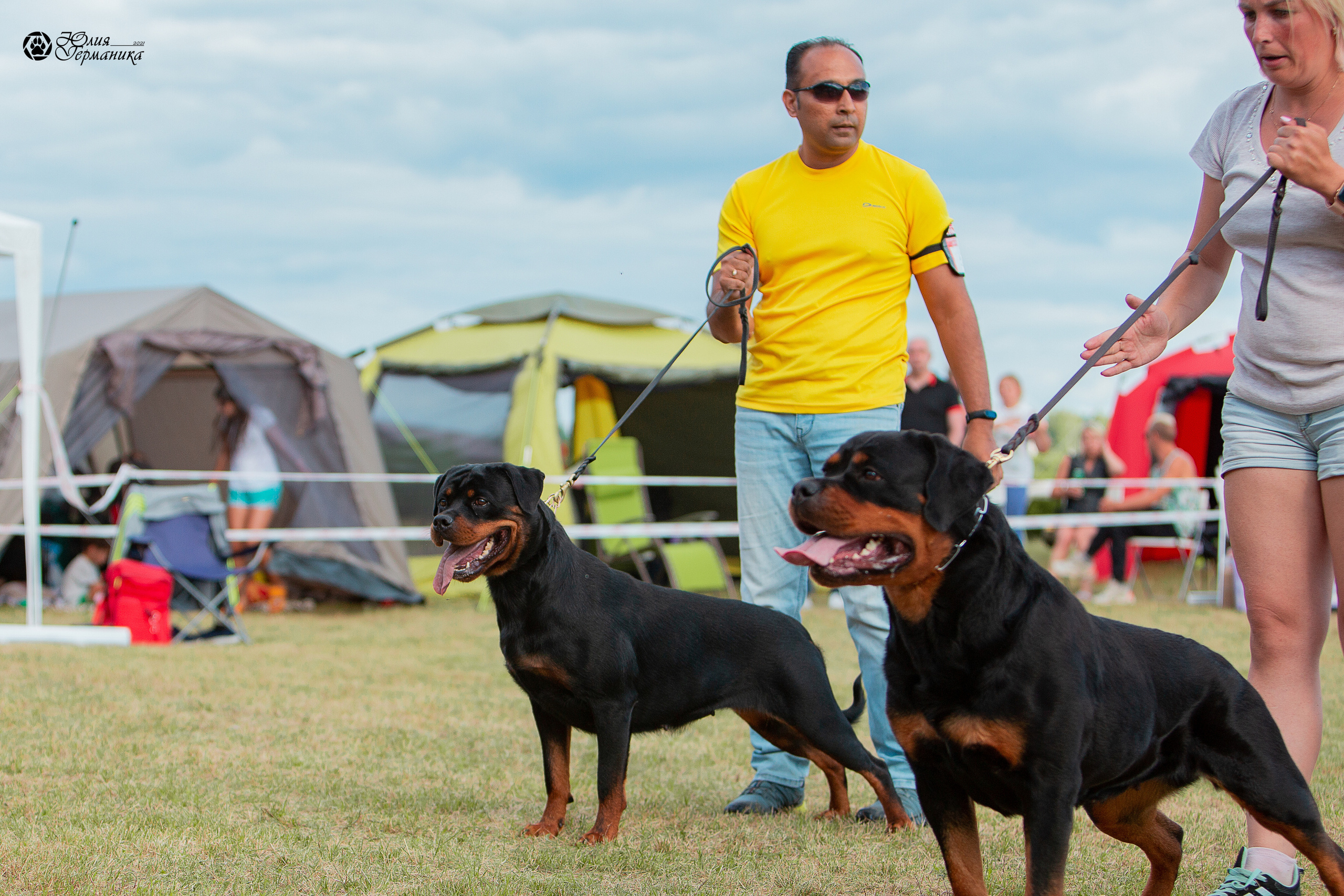 Тверь моно ротвейлеров 3-4 июля 2021. Фотограф-анималист Юлия Германика