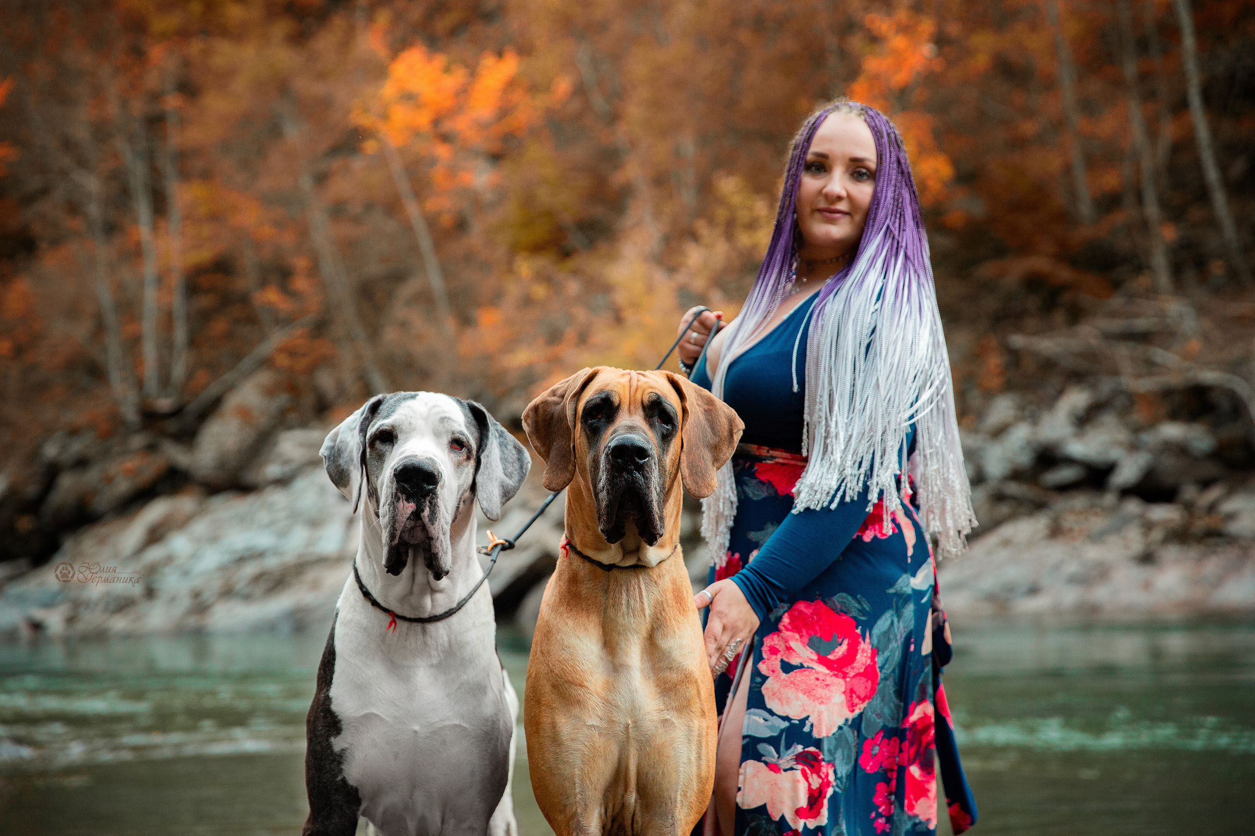 Свободная съемка. Фотограф-анималист Юлия Германика