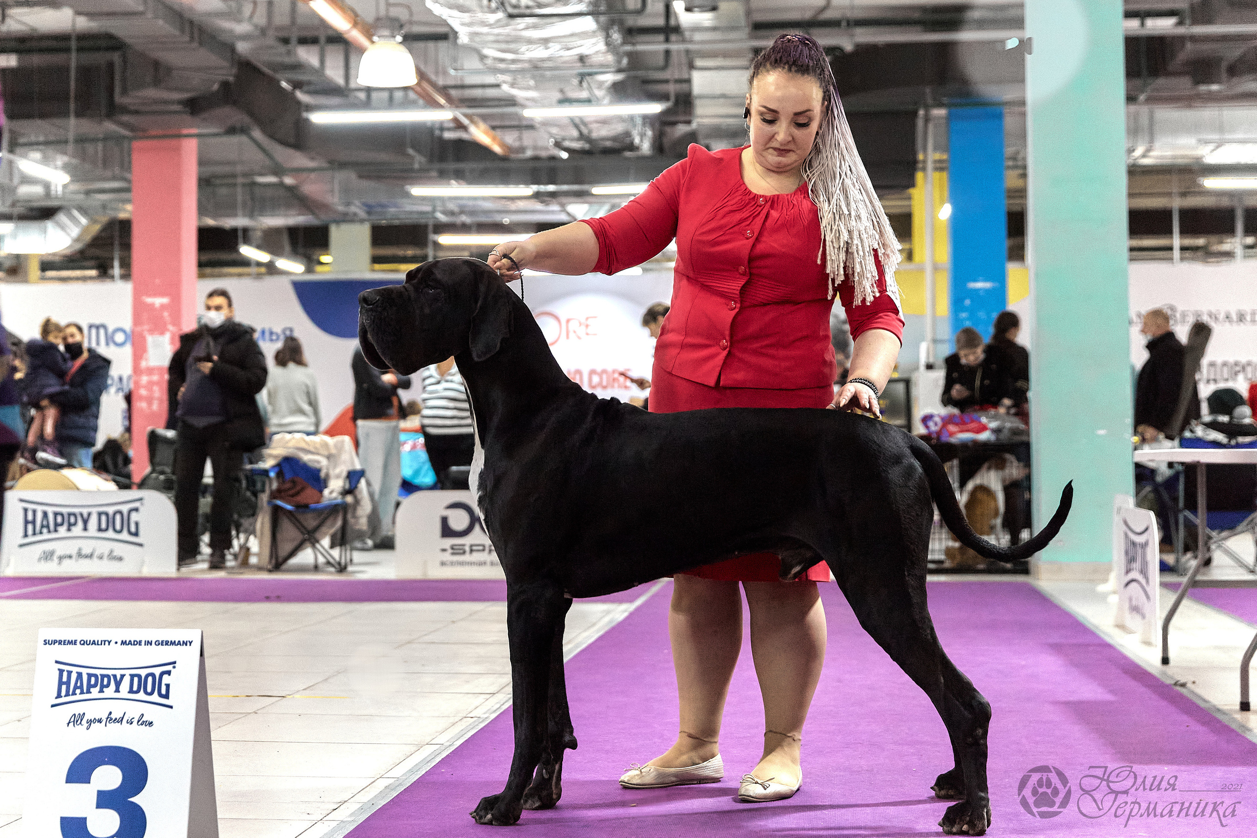 Чайник  13-14 ноября 2021. Фотограф-анималист Юлия Германика