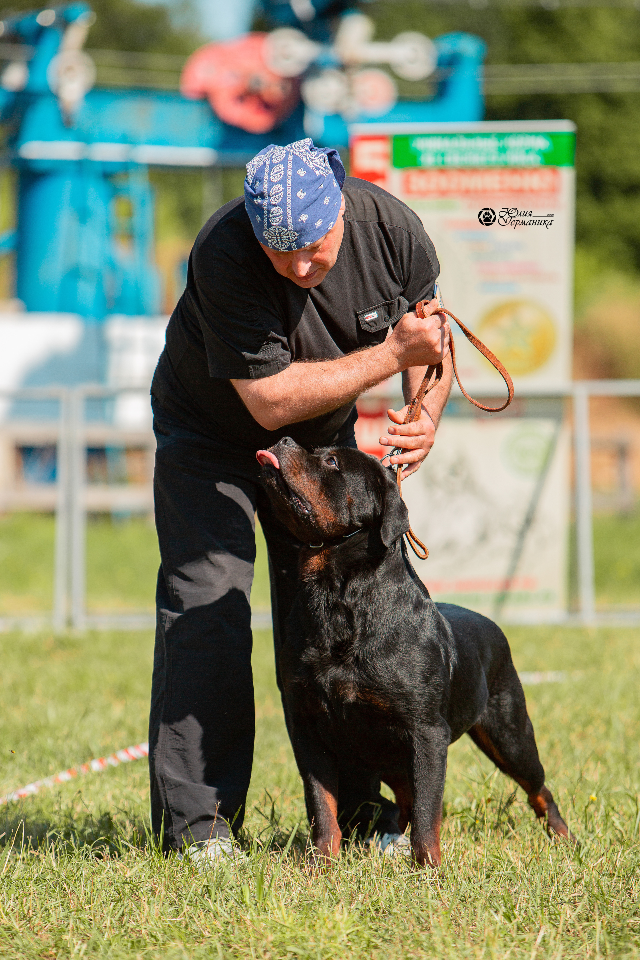 Рязань,Ховрино 14-15 августа 2021 моно ротвейлеров. Фотограф-анималист Юлия Германика