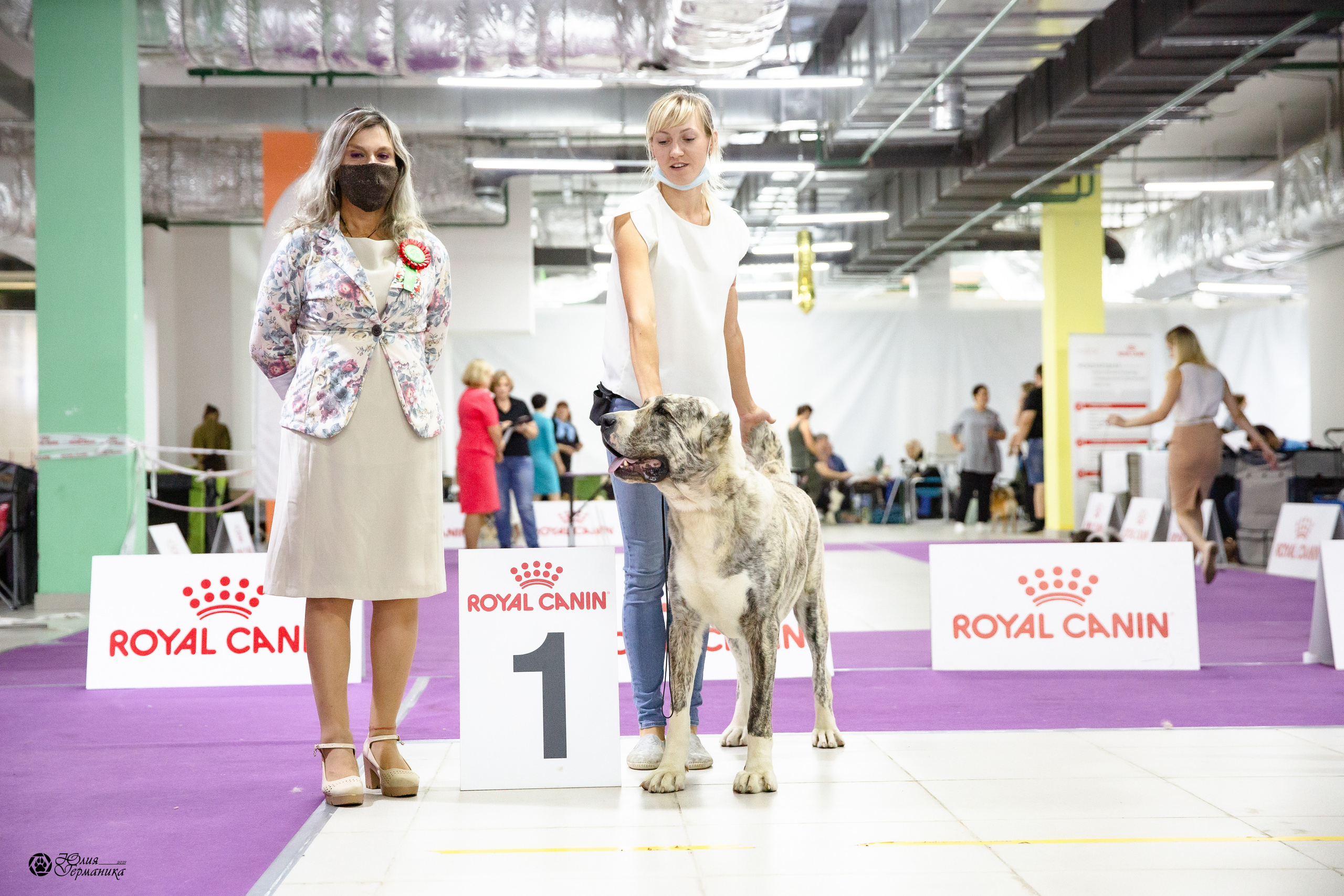 Чайна-Таун 2021. Фотограф-анималист Юлия Германика