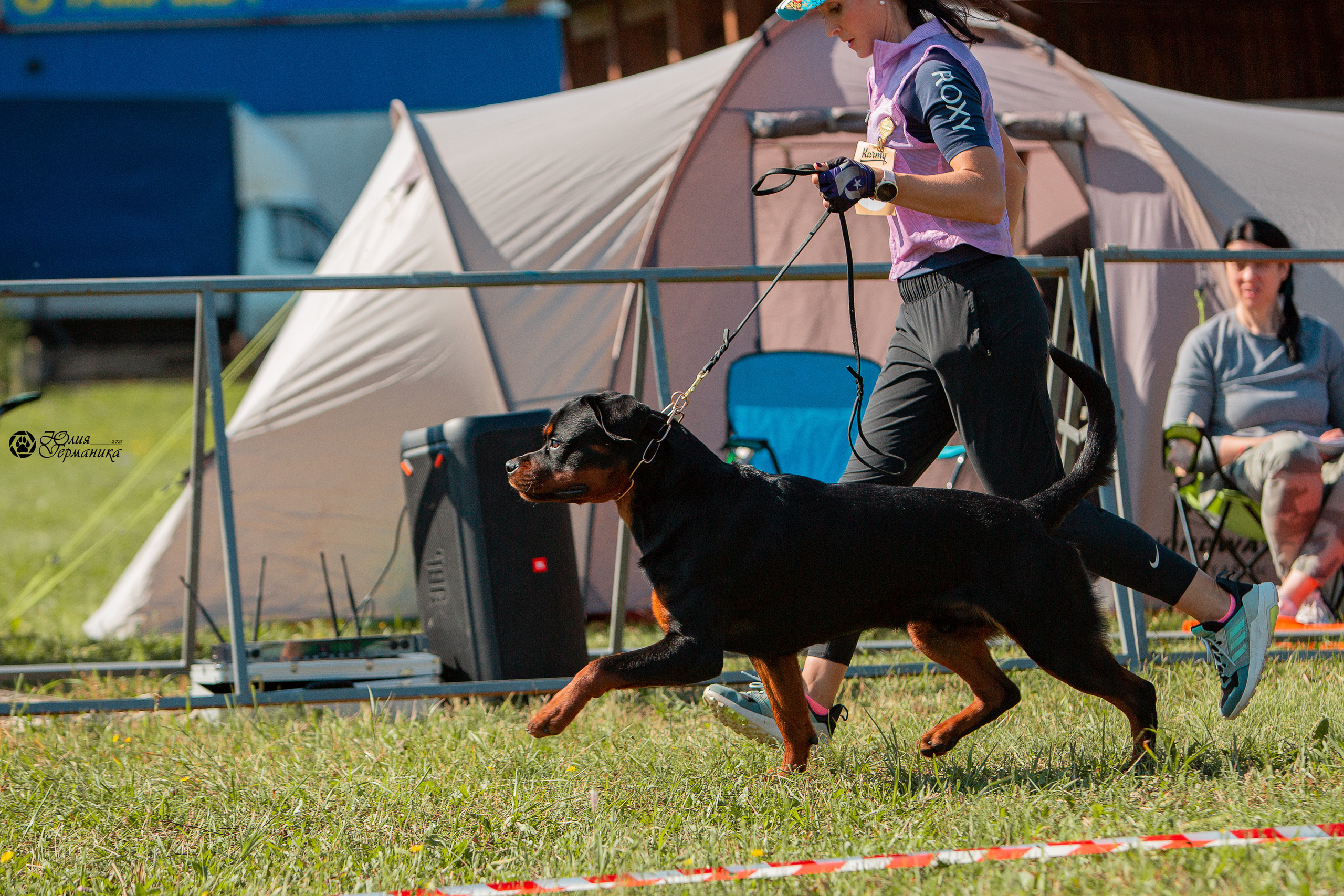 Рязань,Ховрино 14-15 августа 2021 моно ротвейлеров. Фотограф-анималист Юлия Германика