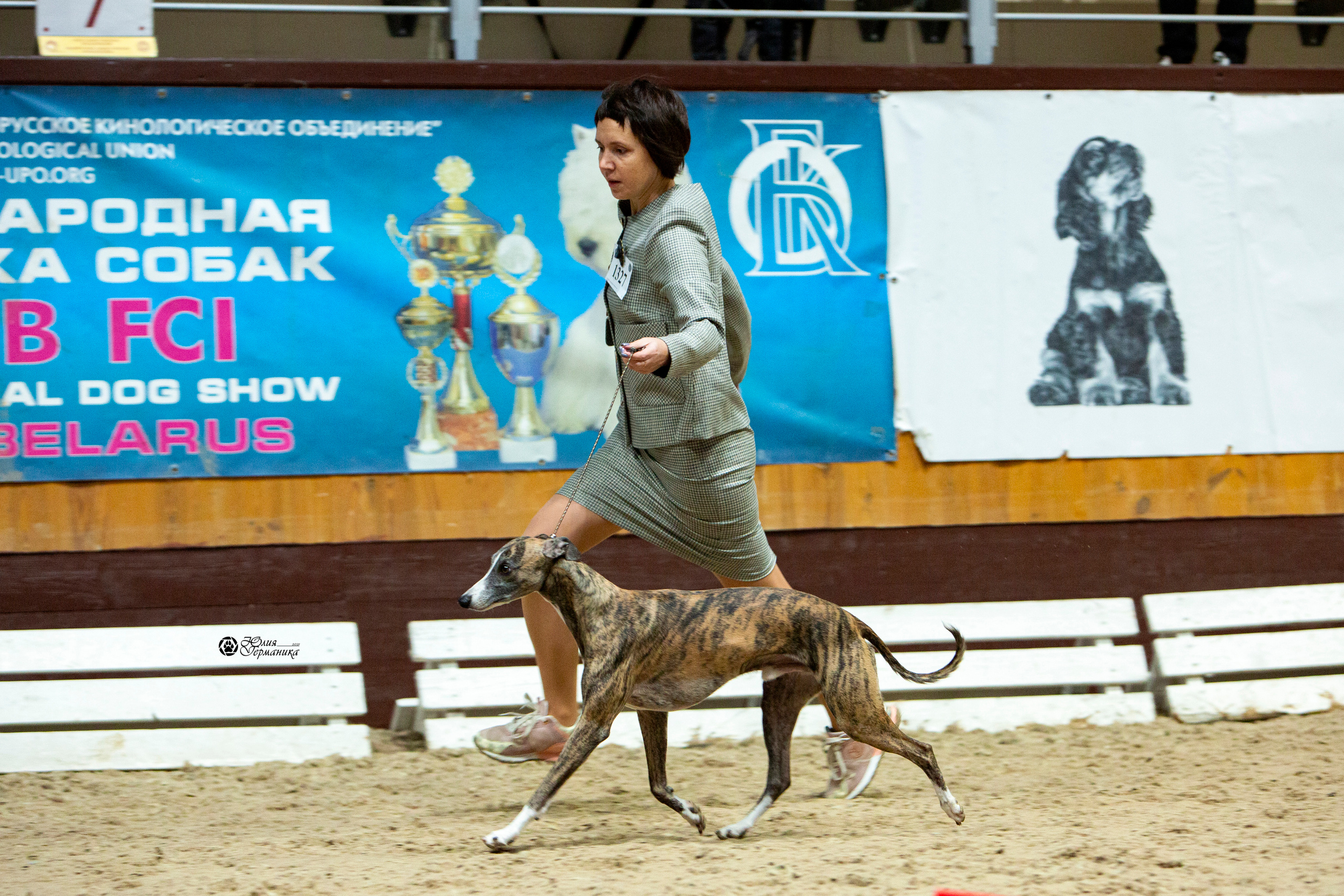 Минск 2хCACIB 27-28 ноября 2021. Фотограф-анималист Юлия Германика