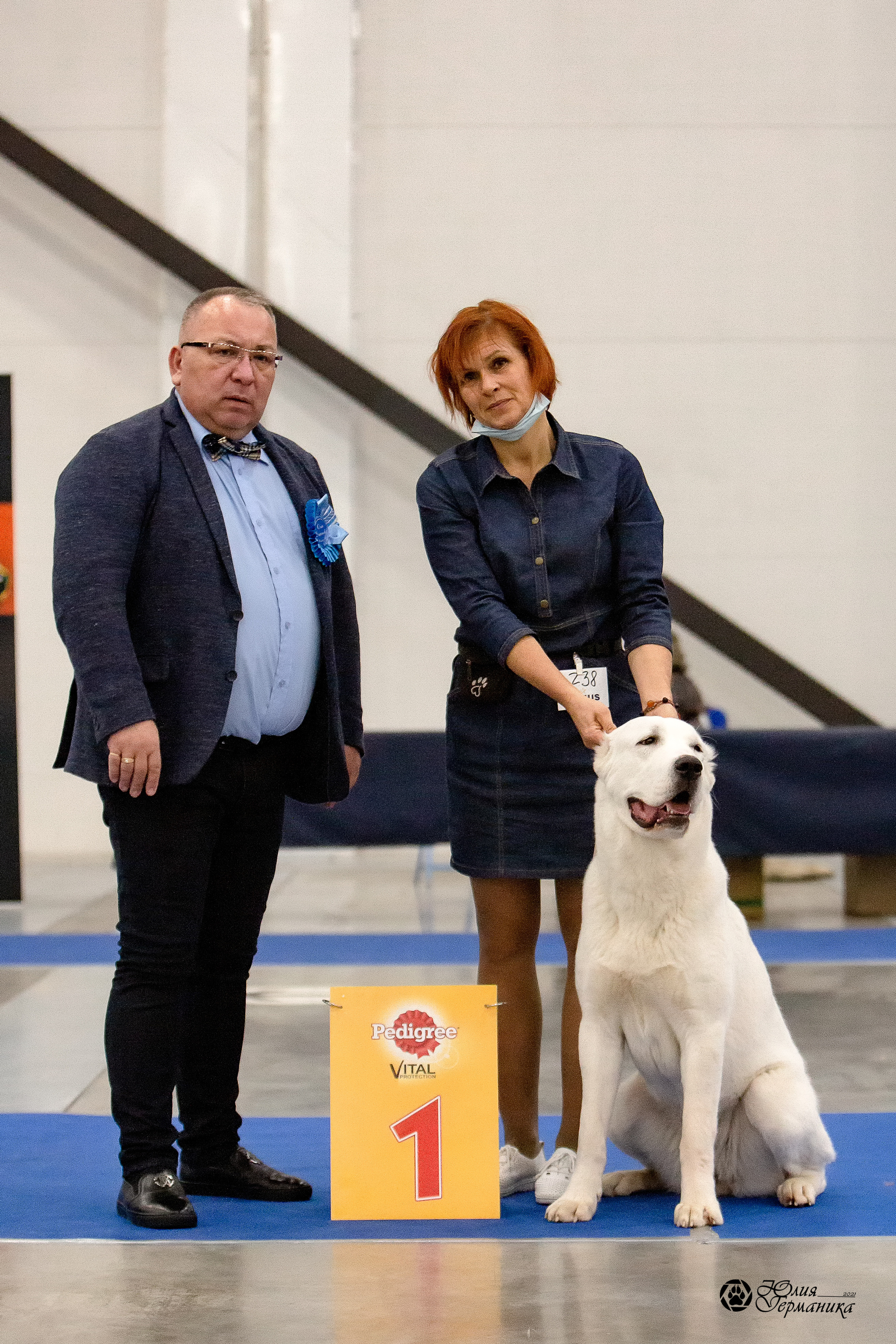 Питер 4 CACIB 22-25 октября 2021. Фотограф-анималист Юлия Германика