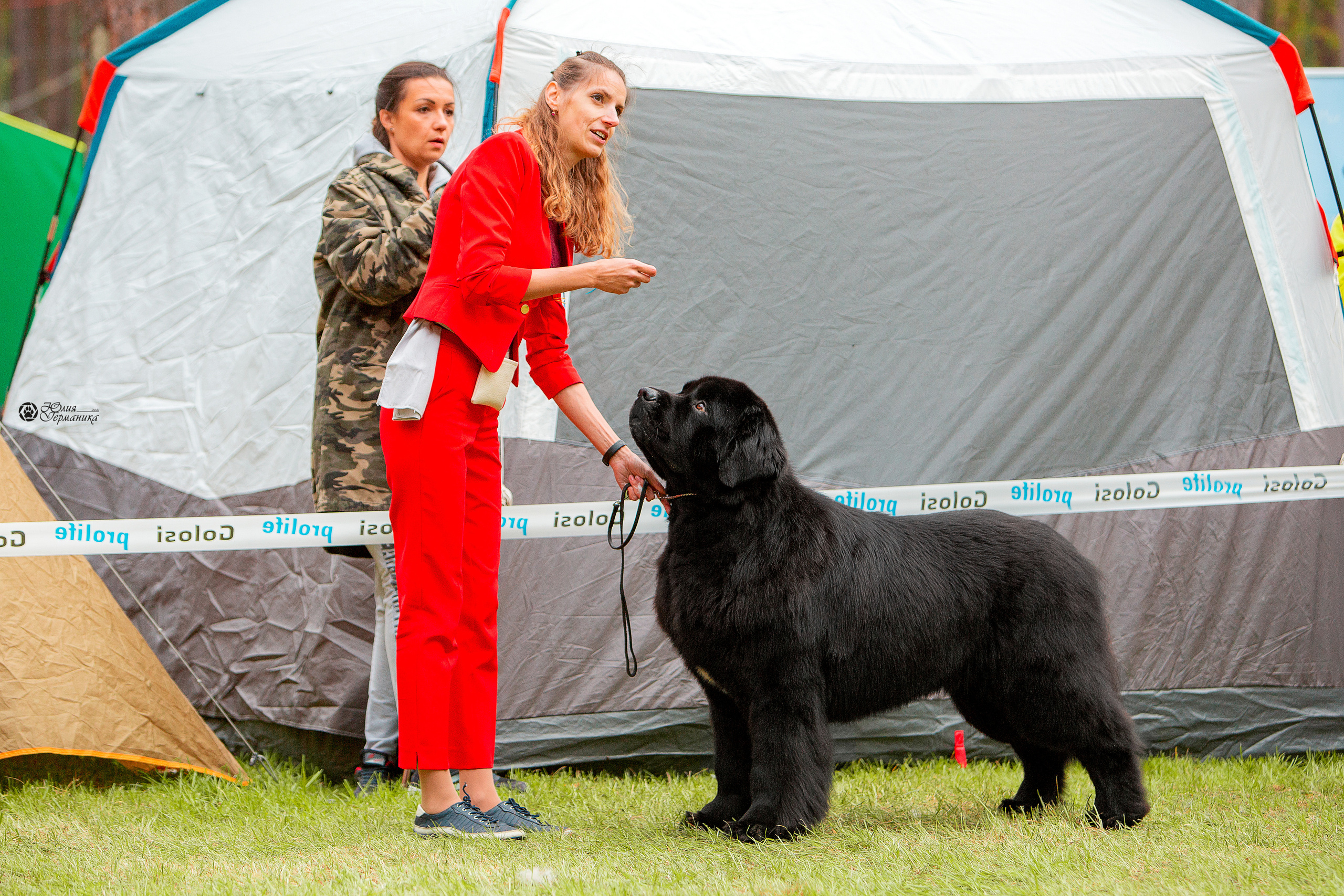 Псков 2xСАСIB 18-19 сентября 2021. Фотограф-анималист Юлия Германика