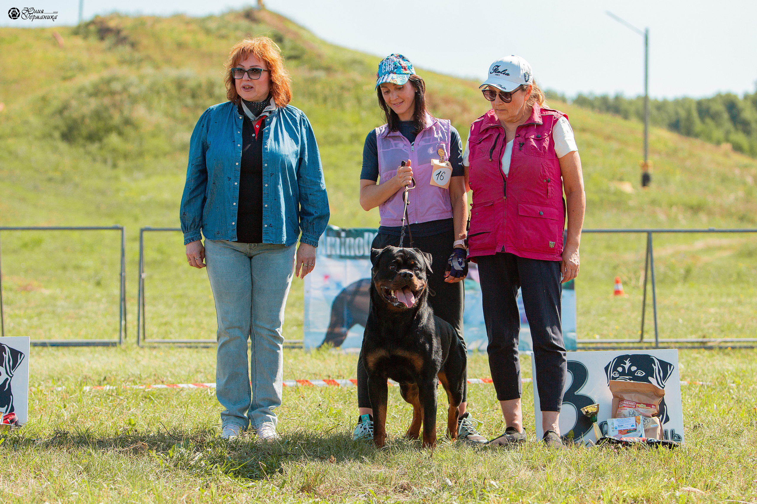 Рязань,Ховрино 14-15 августа 2021 моно ротвейлеров. Фотограф-анималист Юлия Германика