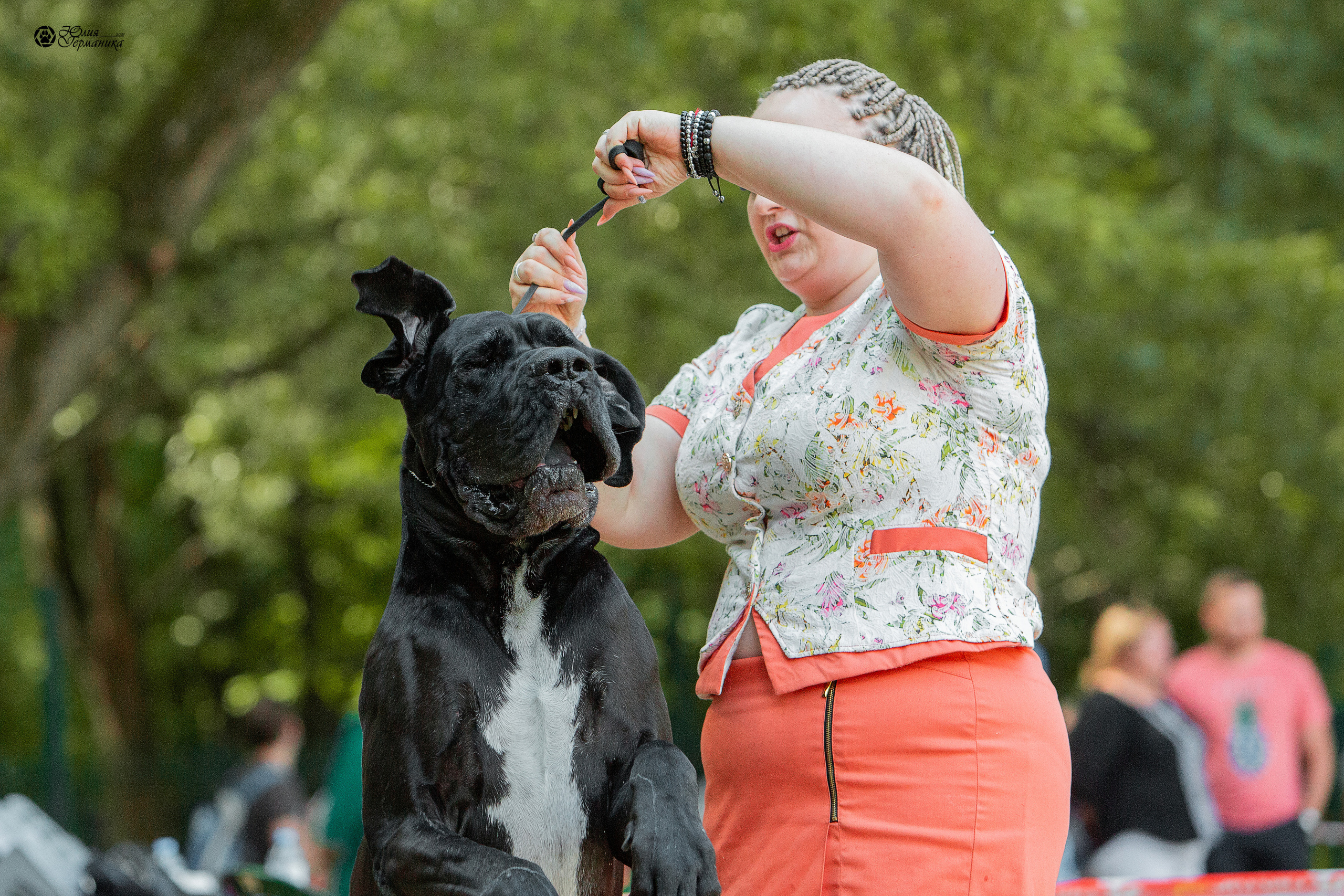 Ховрино фестиваль монопородок 15 августа 2021. Фотограф-анималист Юлия Германика