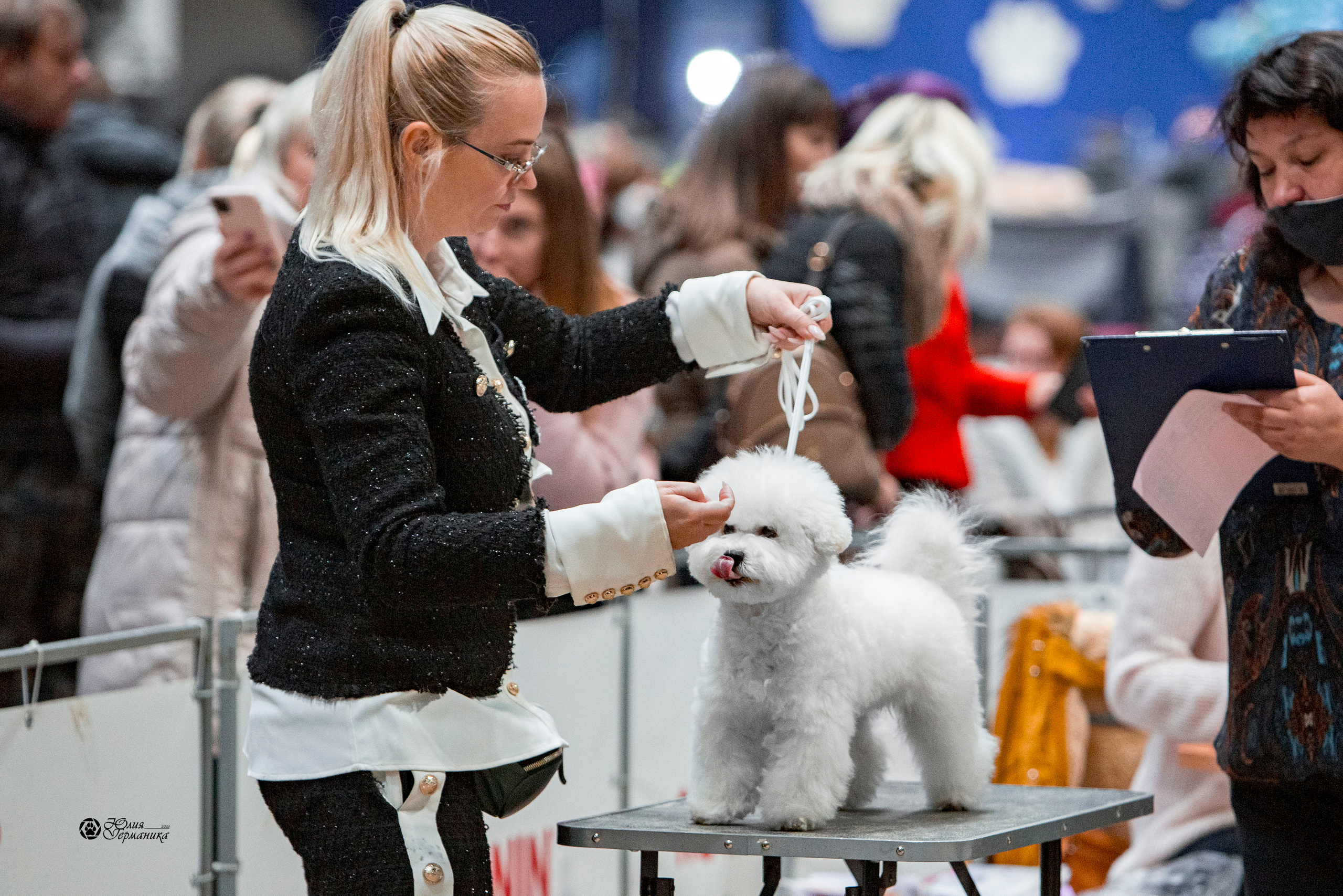 Минск 2хCACIB 27-28 ноября 2021. Фотограф-анималист Юлия Германика