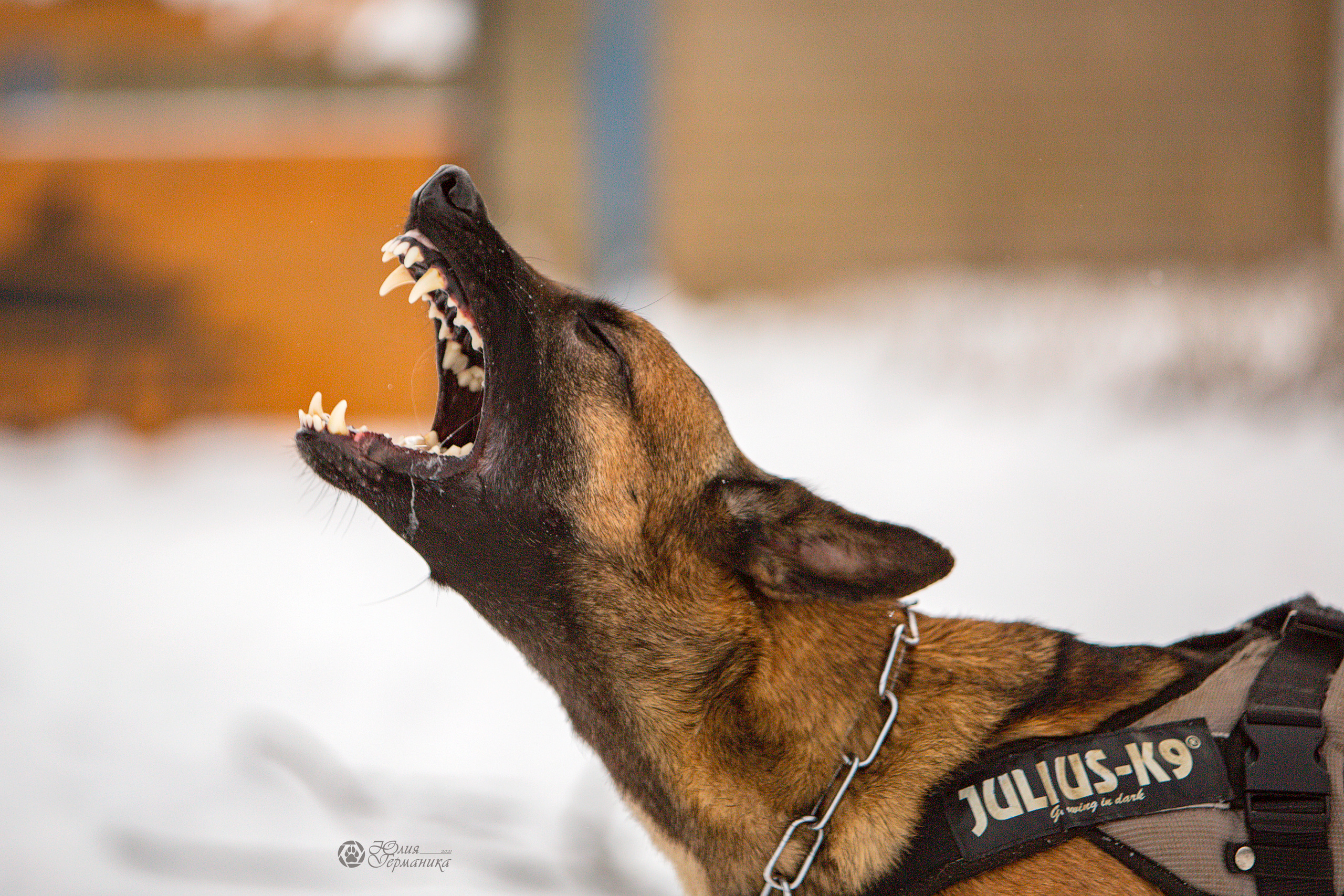 Тренинг по защите.