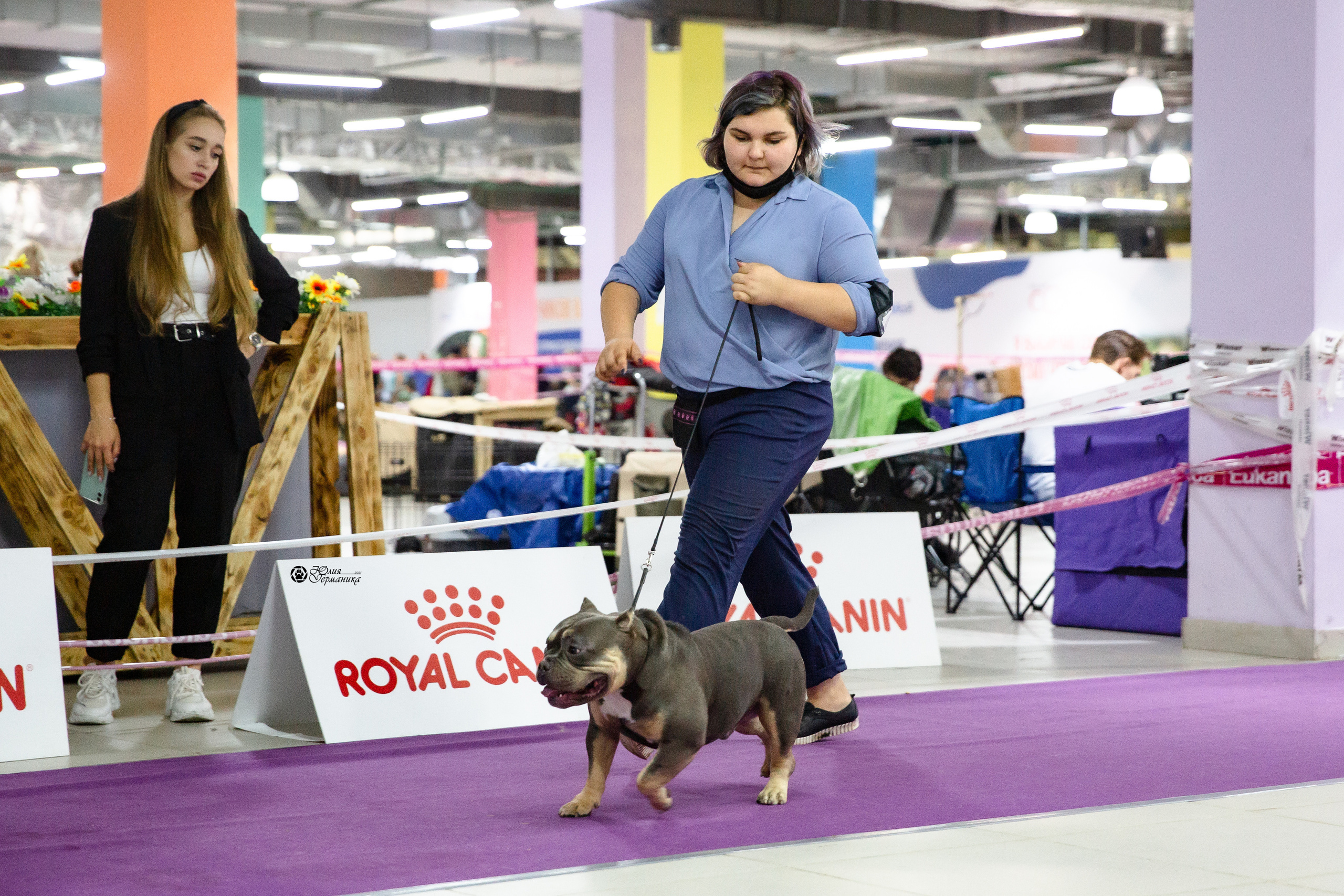 Чайна-Таун 2021. Фотограф-анималист Юлия Германика