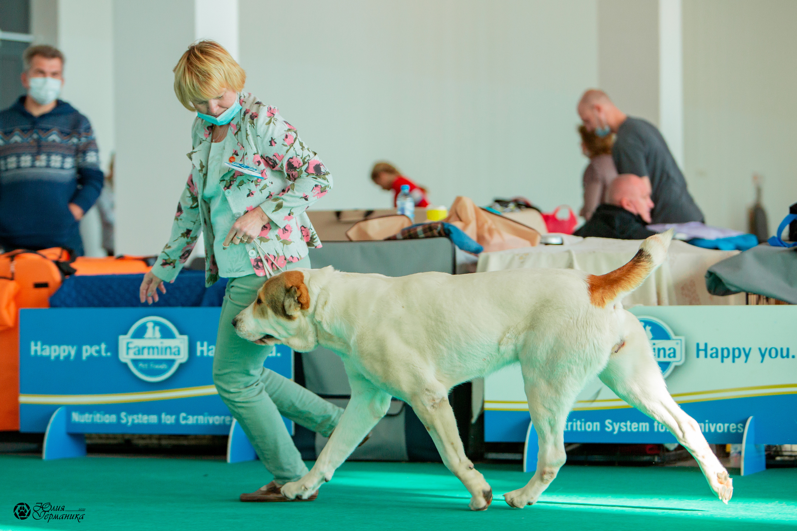 Нижний Новгород 3хCACIB 15-17 октября 2021. Фотограф-анималист Юлия Германика