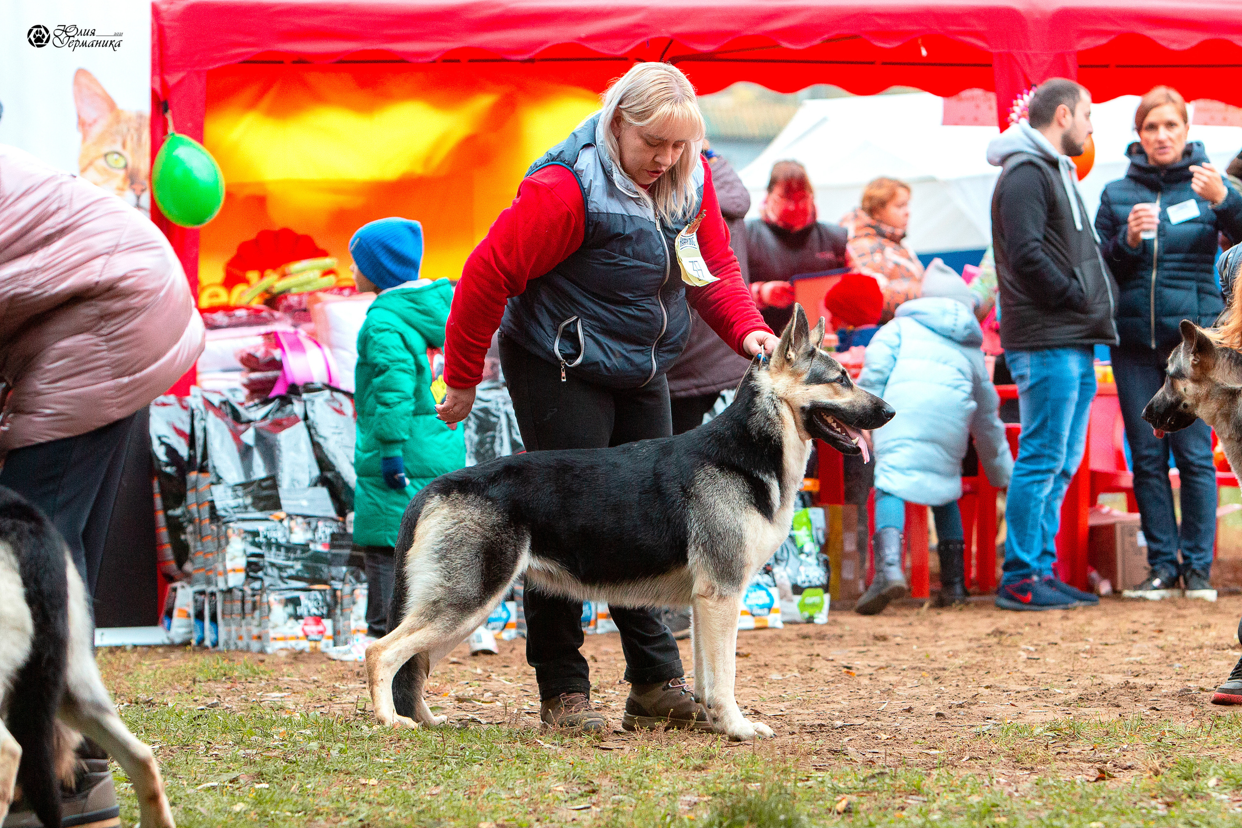 Сокольники 25 сентября Моно ВЕО Моншер Версаль. Фотограф-анималист Юлия Германика