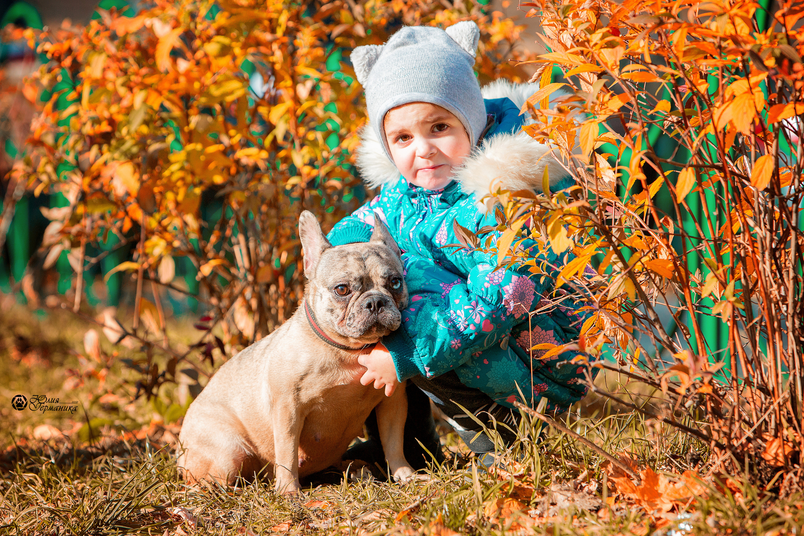 Свободная съемка. Фотограф-анималист Юлия Германика