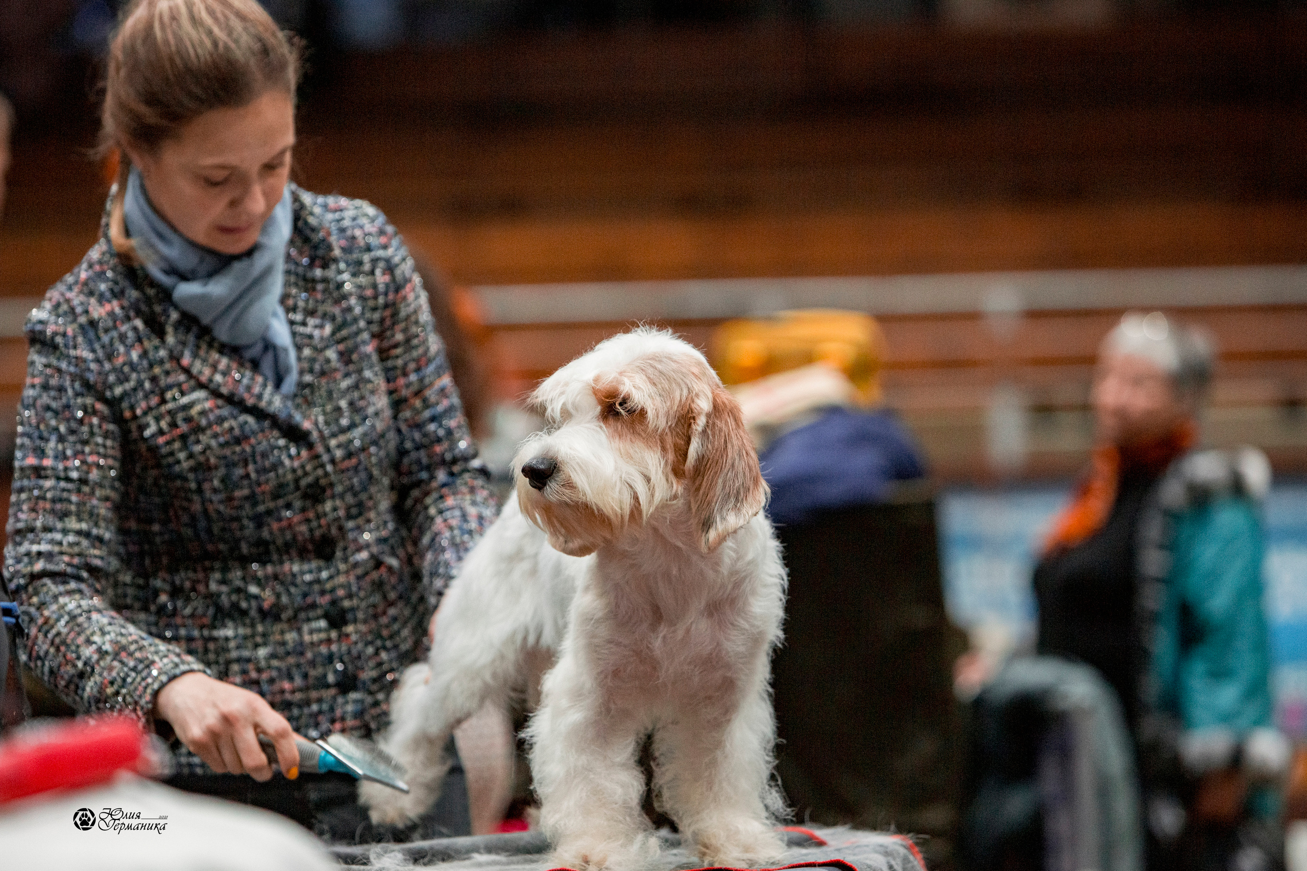 Минск 2хCACIB 27-28 ноября 2021. Фотограф-анималист Юлия Германика