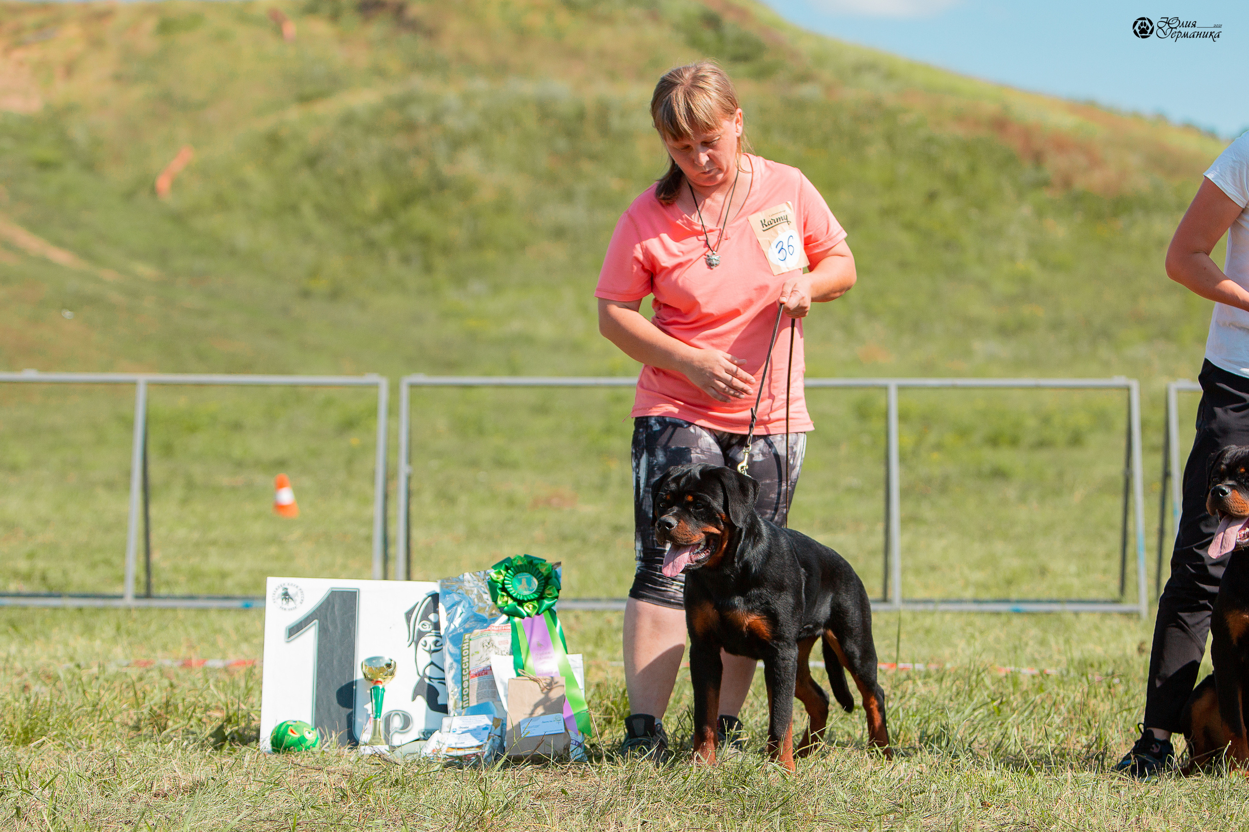 Рязань,Ховрино 14-15 августа 2021 моно ротвейлеров. Фотограф-анималист Юлия Германика