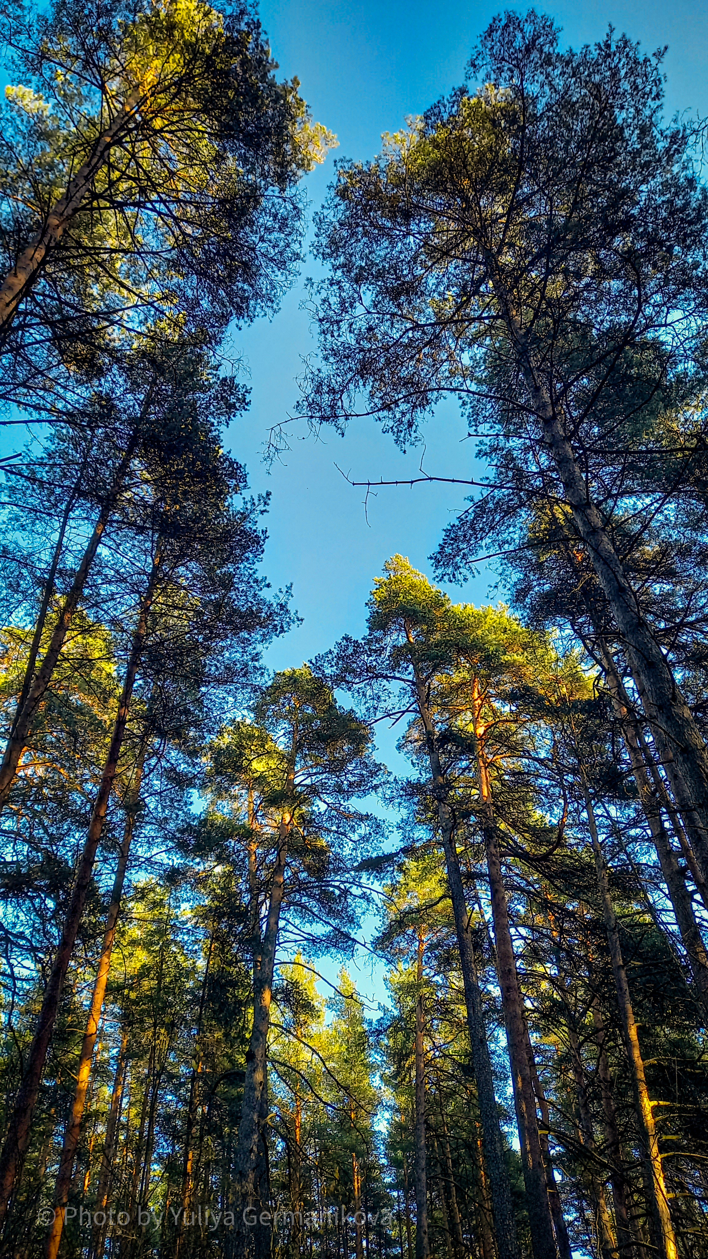 Разные фото на телефон.Города,природа. Фотограф-анималист Юлия Германика