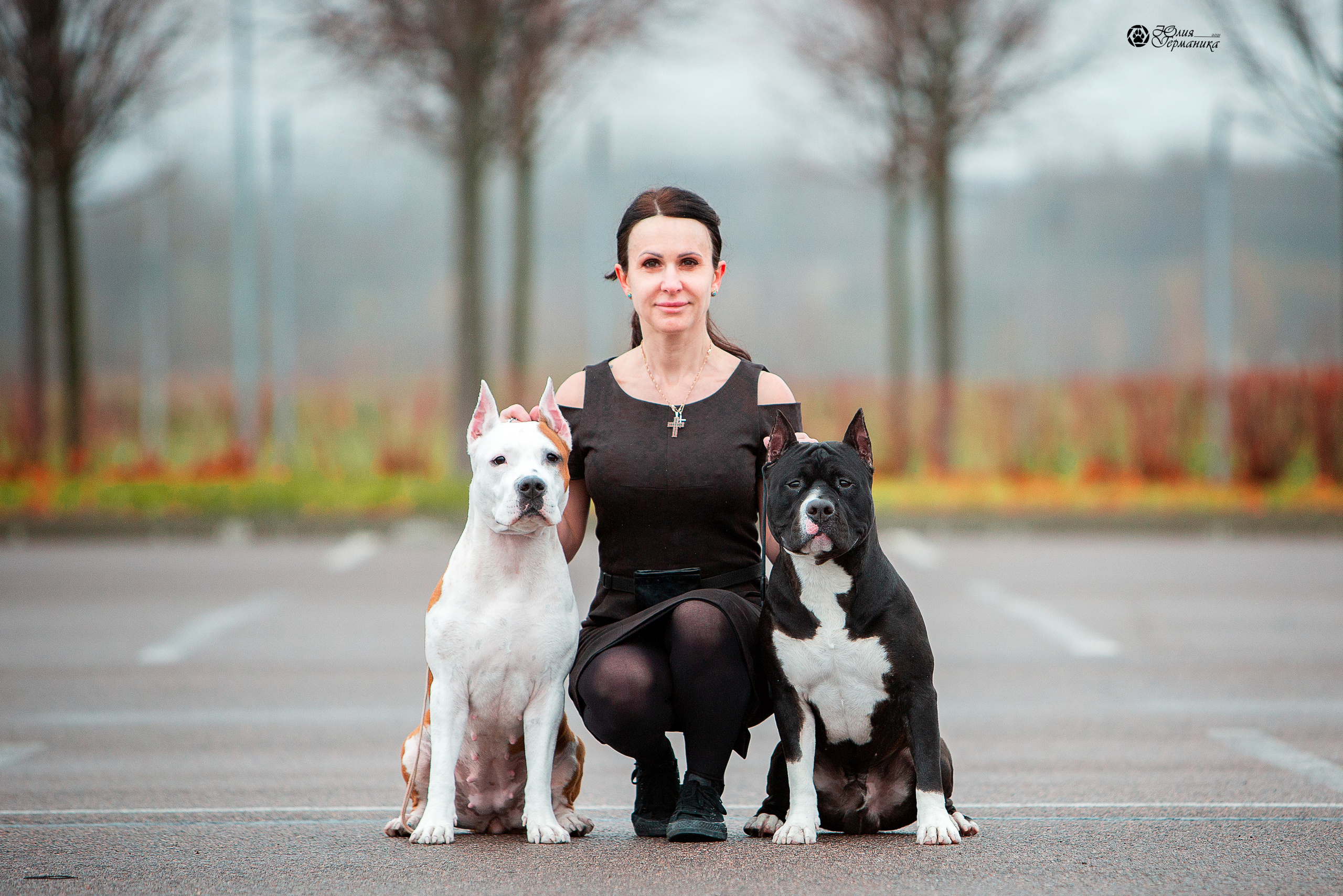 Питер 4 CACIB 22-25 октября 2021. Фотограф-анималист Юлия Германика