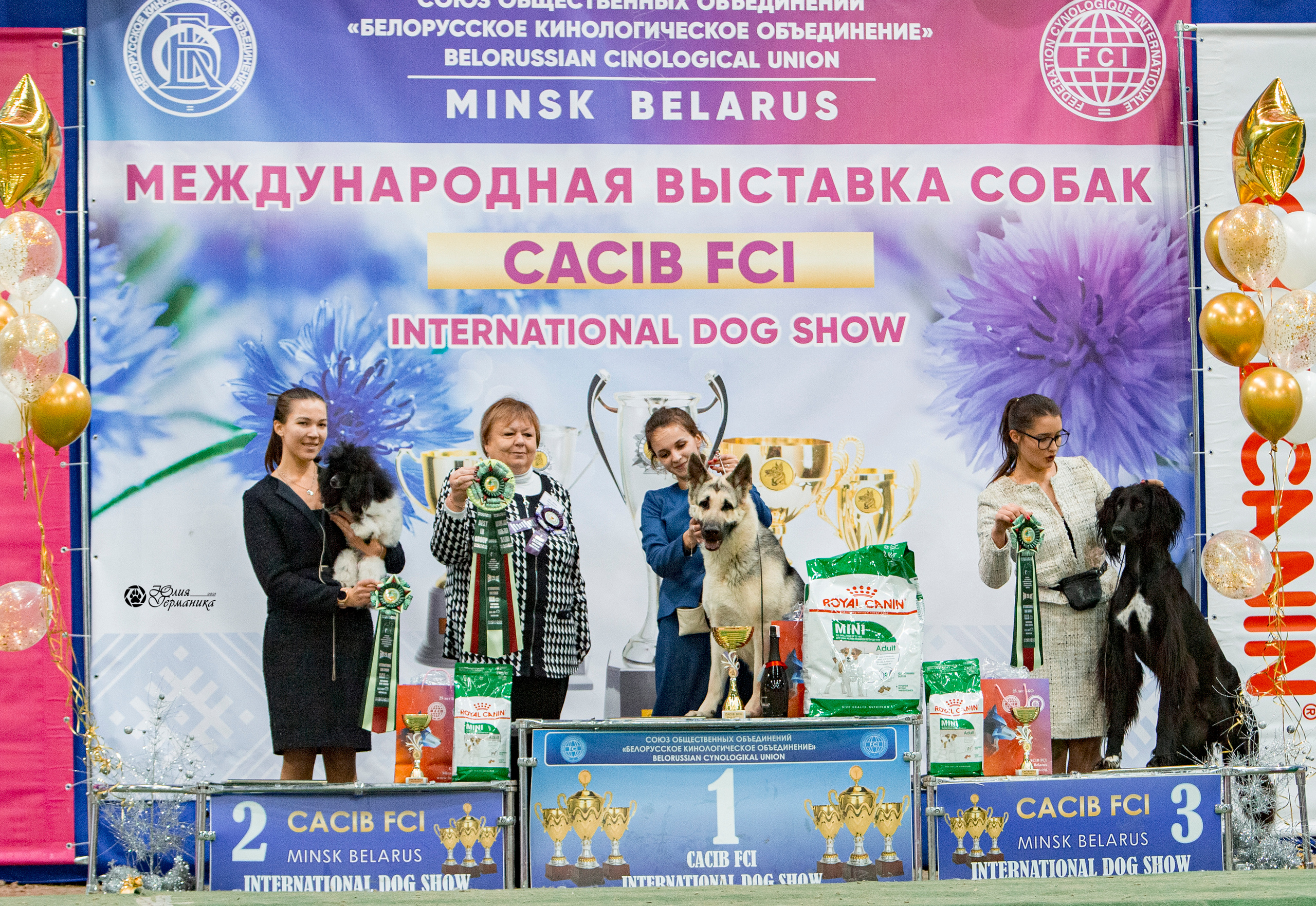 Минск 2хCACIB 27-28 ноября 2021. Фотограф-анималист Юлия Германика