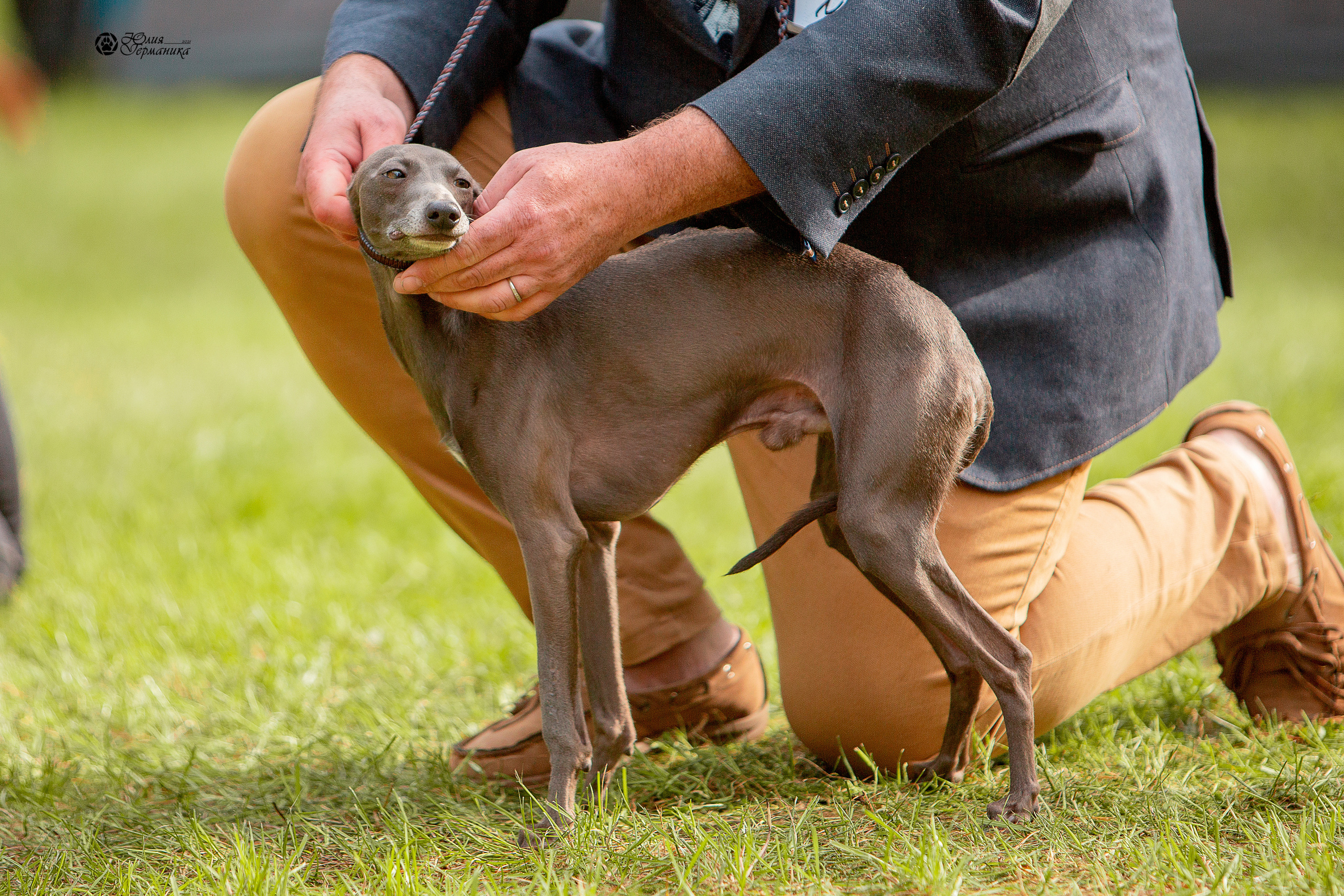 Псков 2xСАСIB 18-19 сентября 2021. Фотограф-анималист Юлия Германика