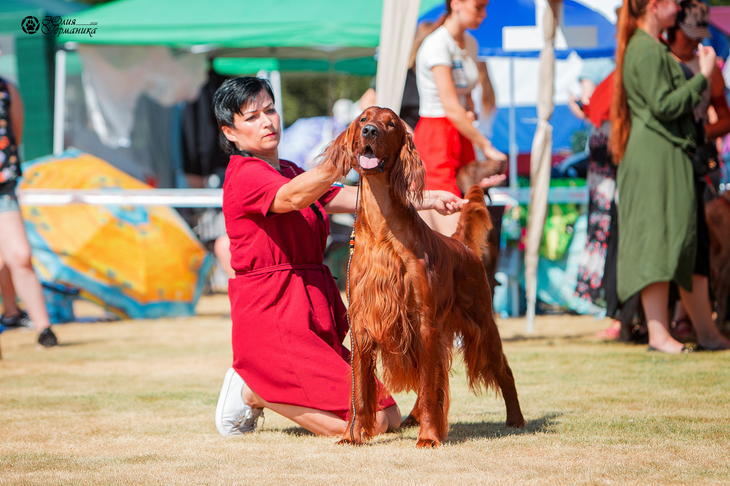 Ярославль CACIB 18 июля 2021. Фотограф-анималист Юлия Германика