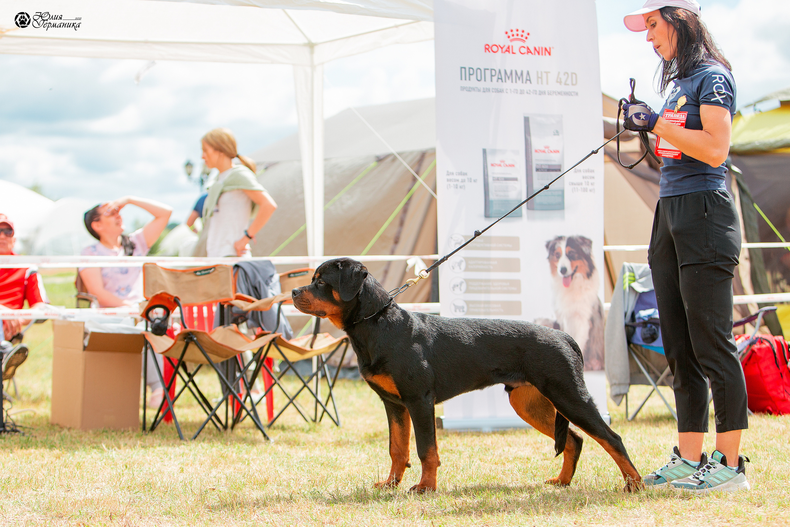 Тверь моно ротвейлеров 3-4 июля 2021. Фотограф-анималист Юлия Германика
