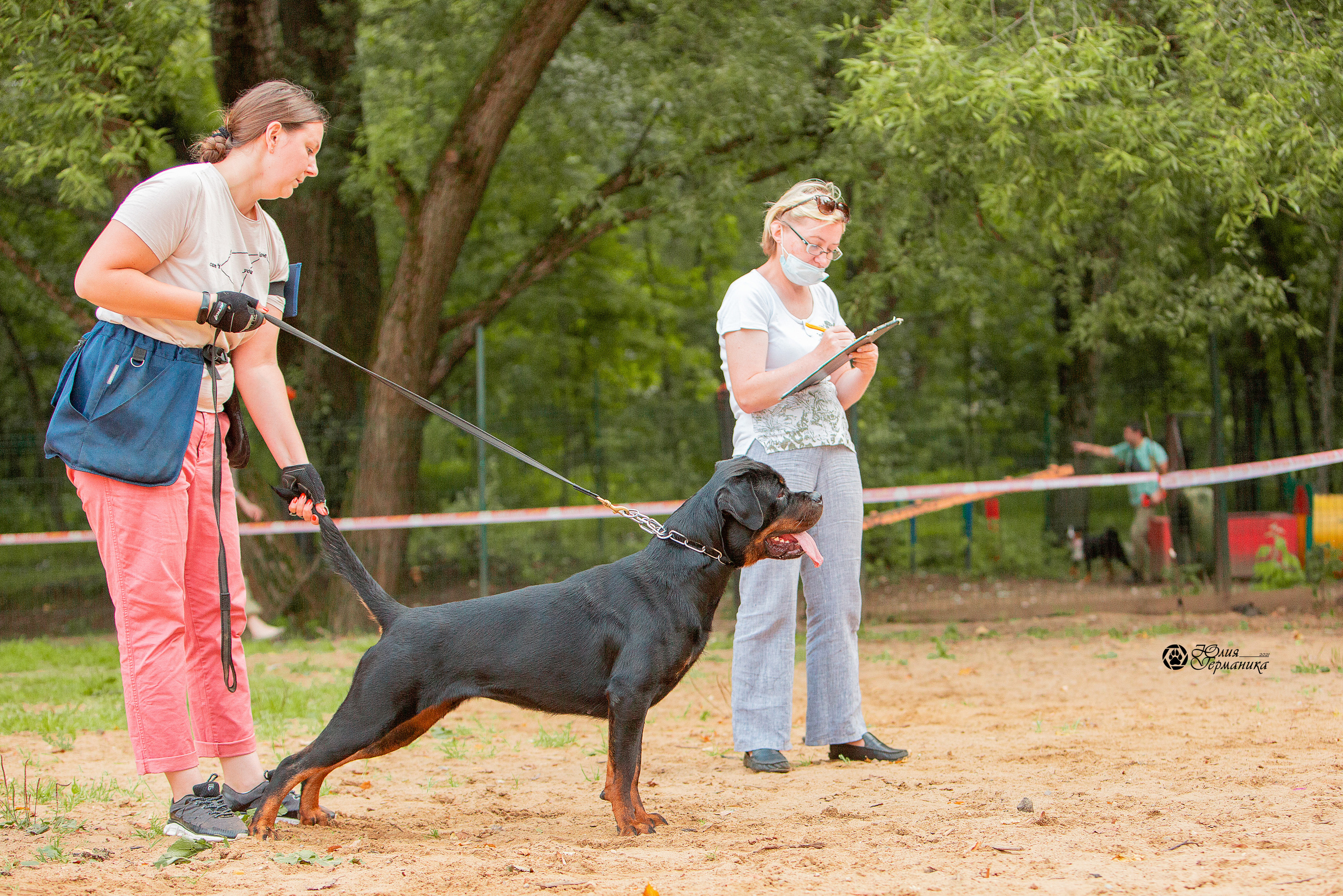 Рязань,Ховрино 14-15 августа 2021 моно ротвейлеров. Фотограф-анималист Юлия Германика