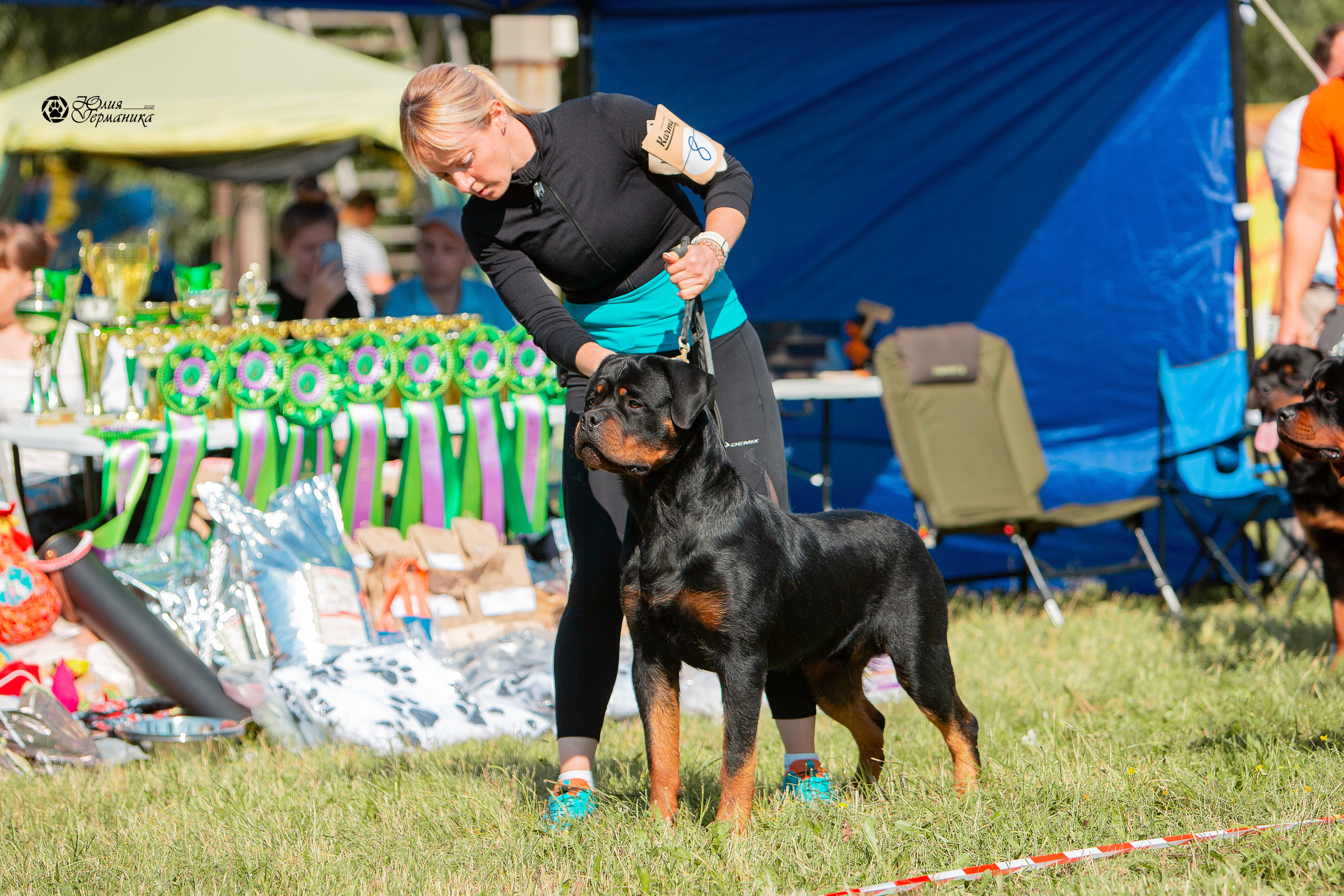 Рязань,Ховрино 14-15 августа 2021 моно ротвейлеров. Фотограф-анималист Юлия Германика