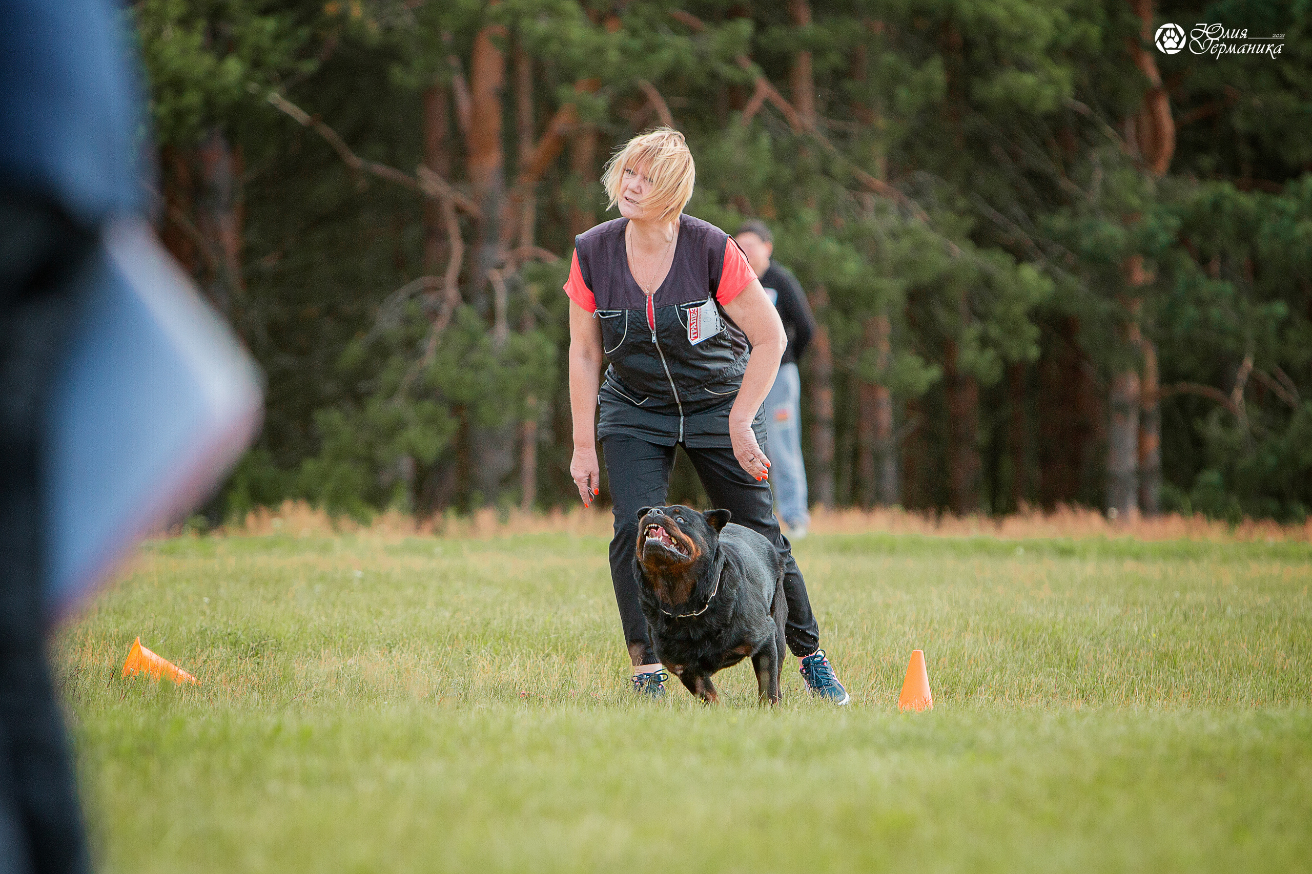 Тверь моно ротвейлеров 3-4 июля 2021. Фотограф-анималист Юлия Германика